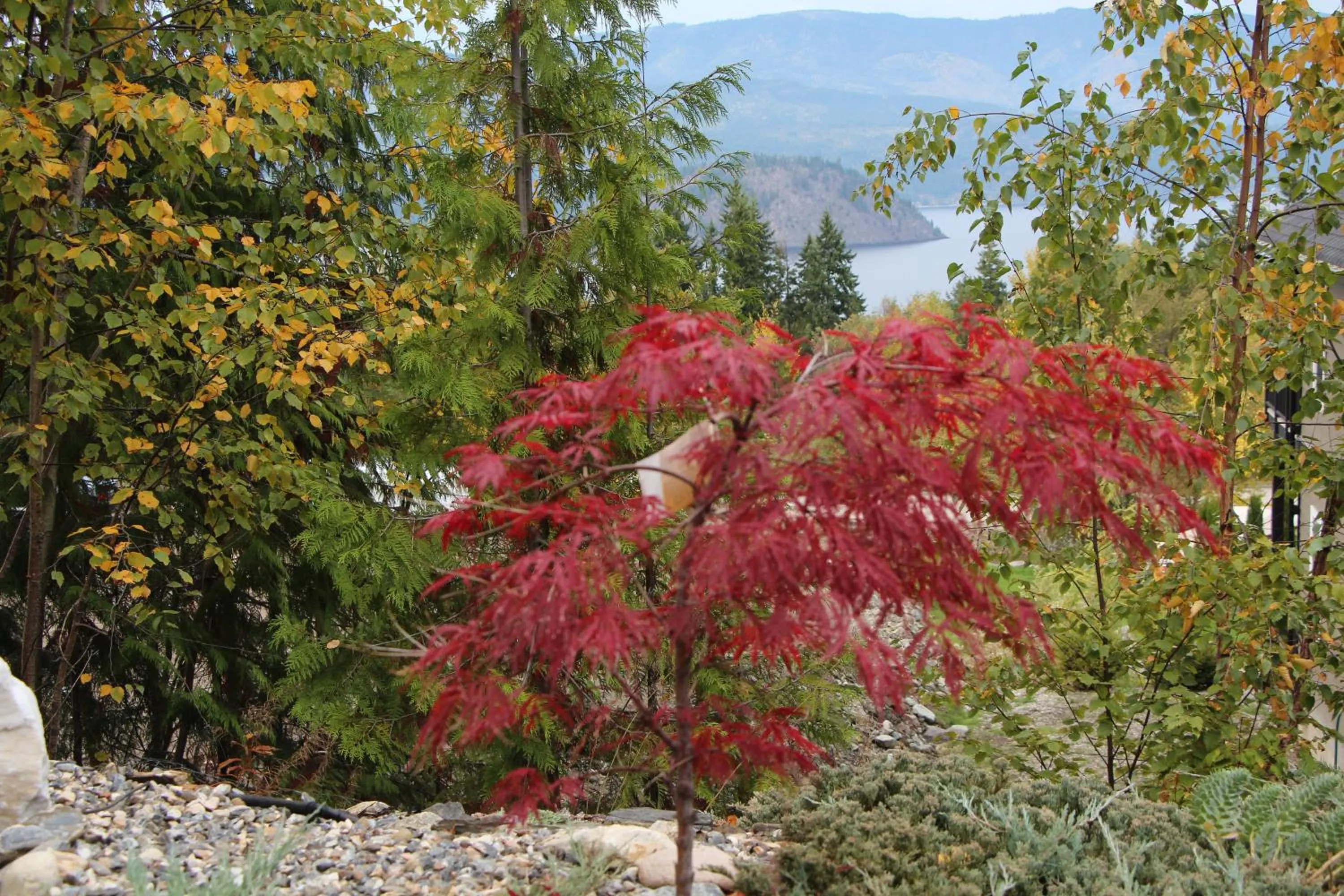 Garden in Selah Retreat Guesthouse B&B