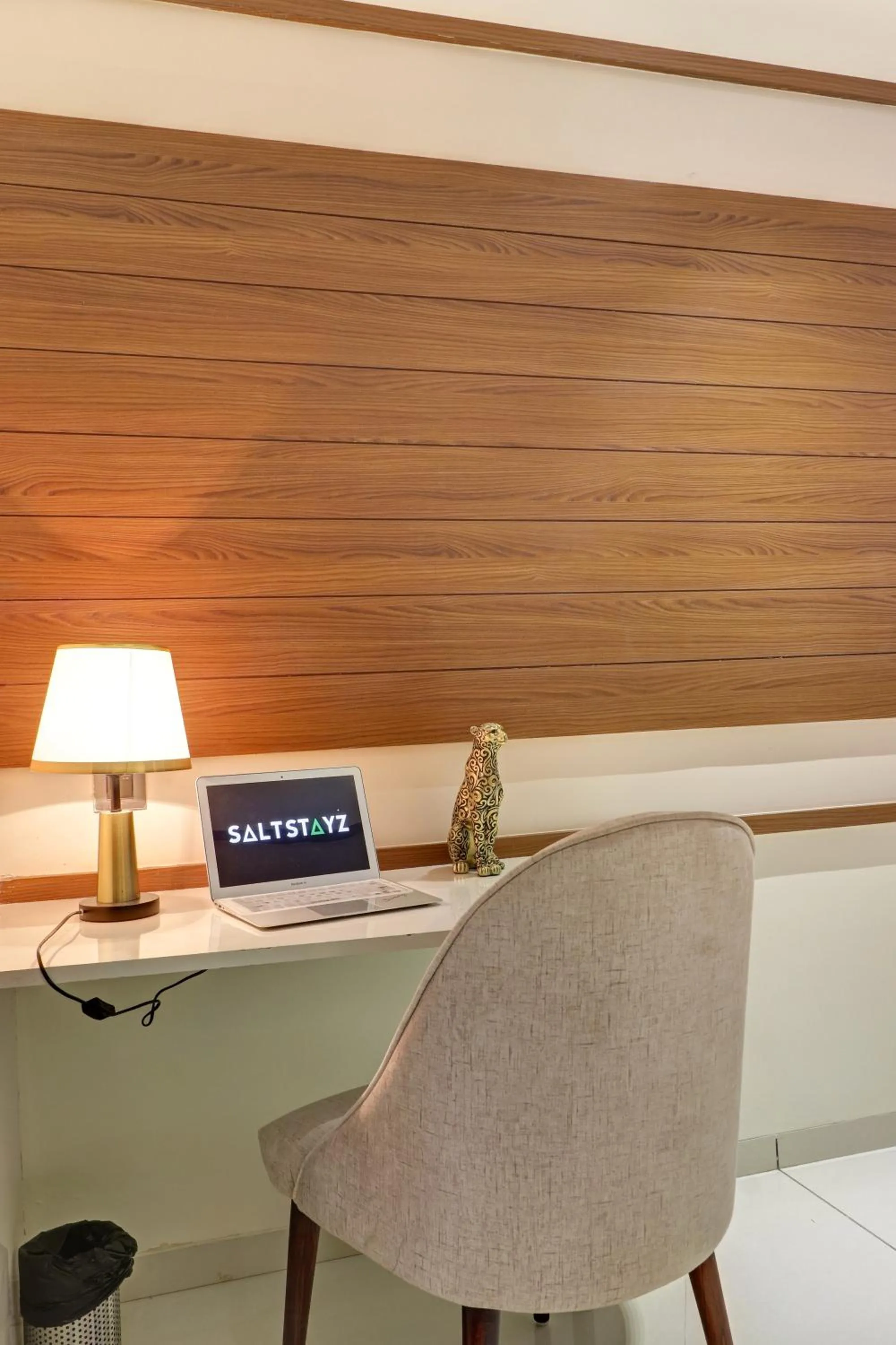 TV and multimedia in Saltstayz Trinity - Chandigarh Mohali