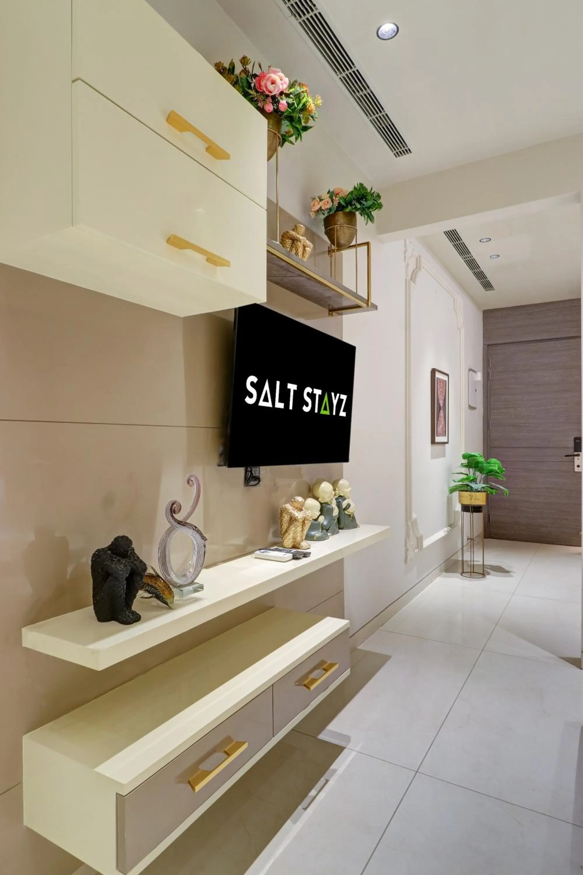 TV and multimedia in Saltstayz Trinity - Chandigarh Mohali