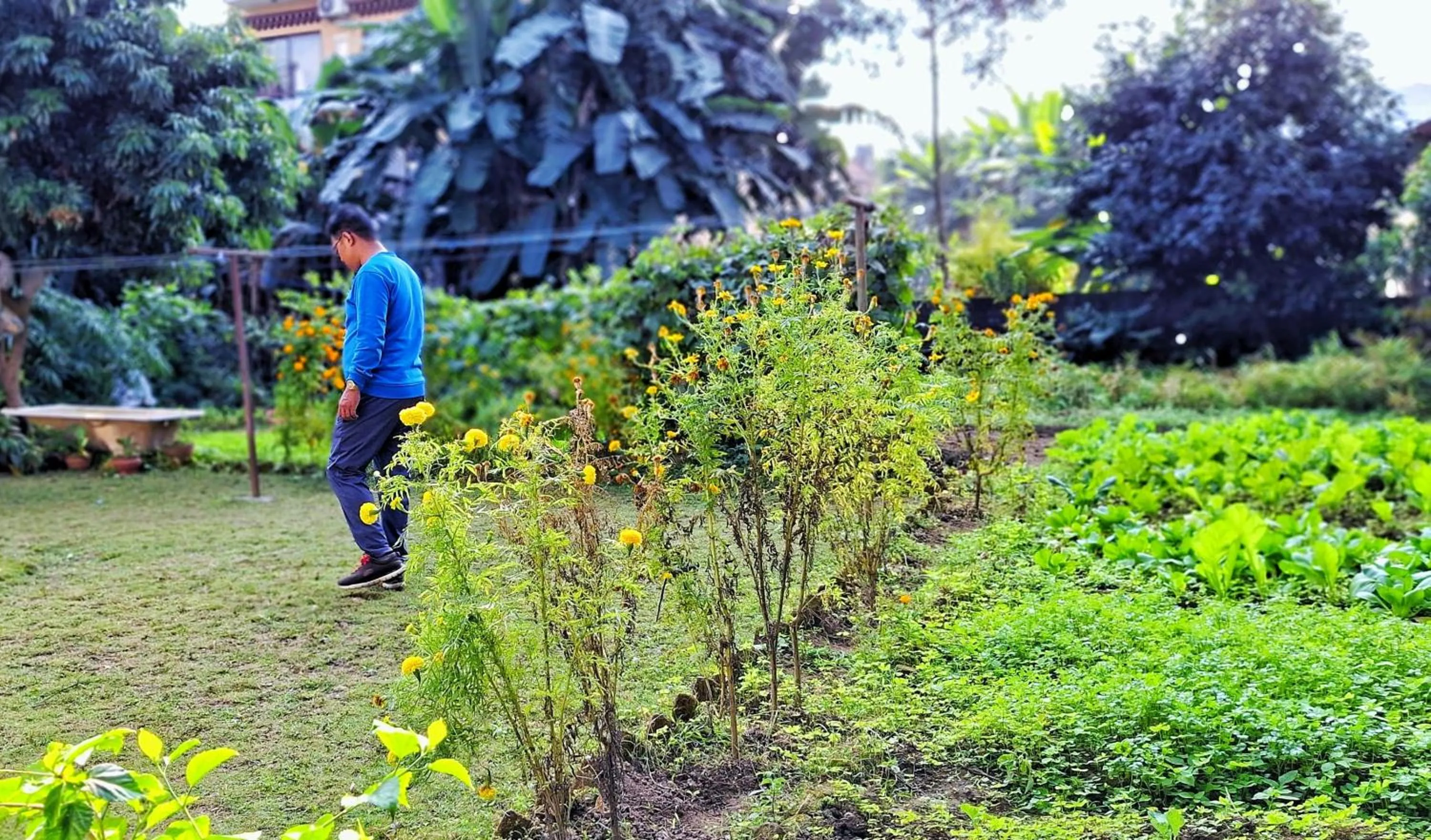 Hotel Deep Oasis Pokhara