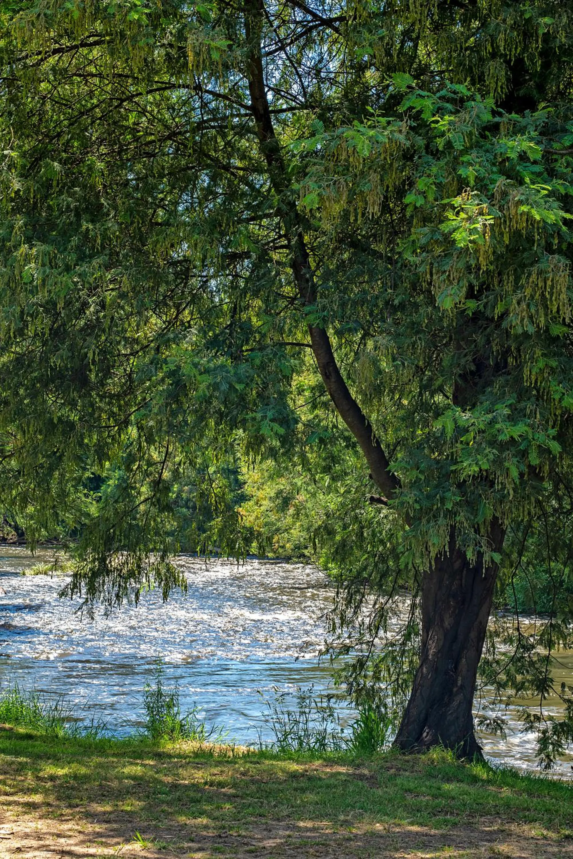 BIG4 Taggerty Holiday Park