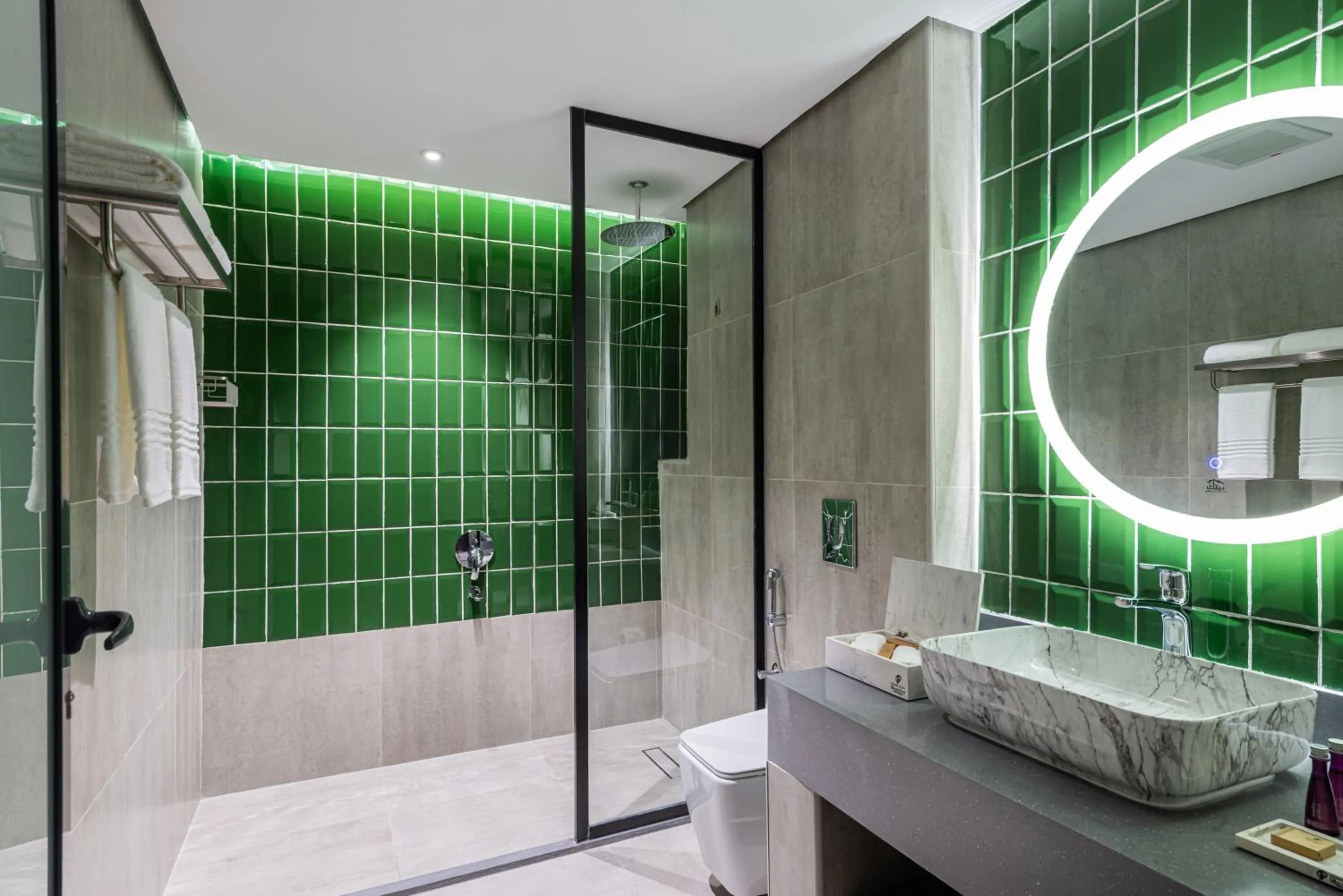 Shower in Grand Plaza Hotel - Tabuk