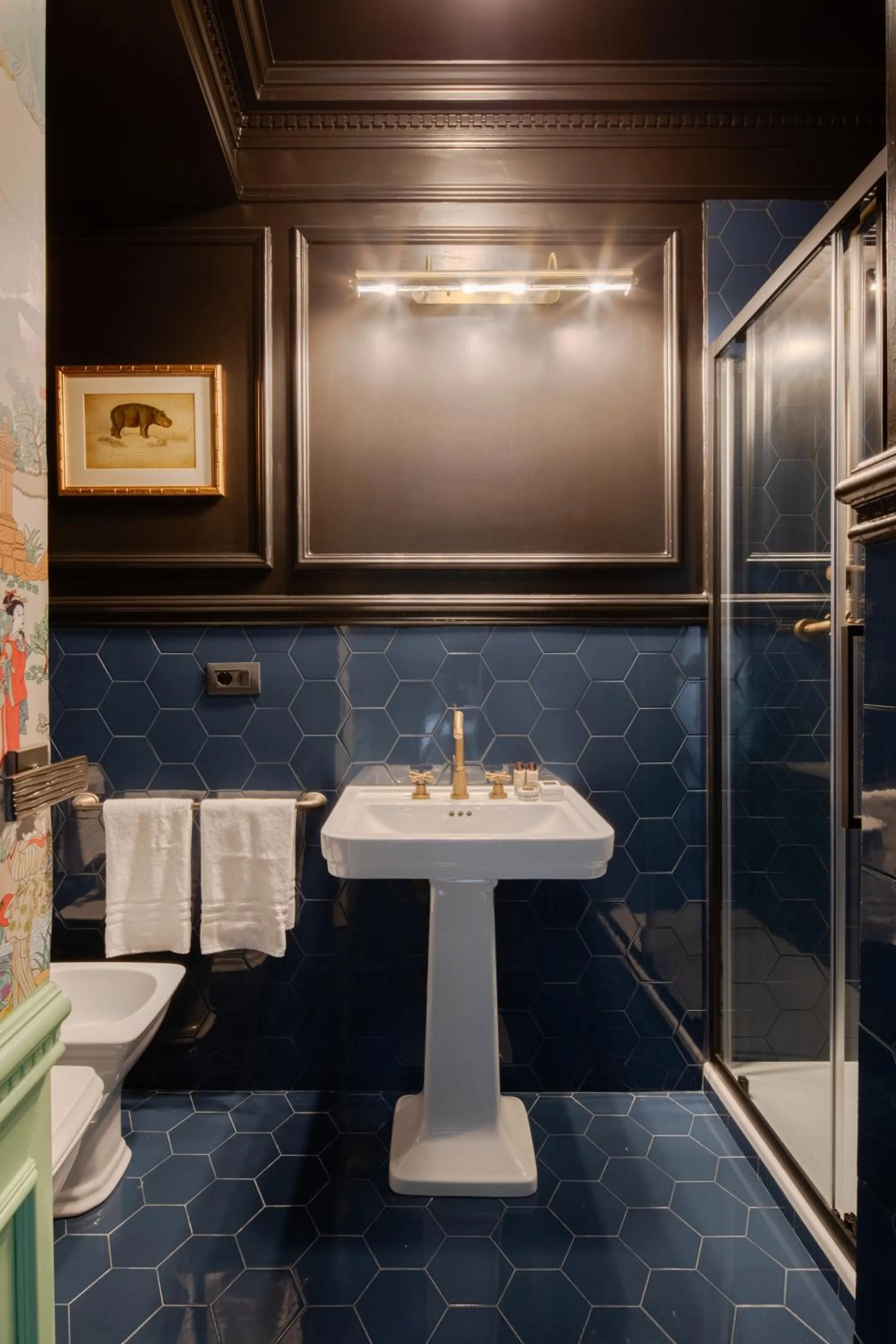 V Collection Condotti