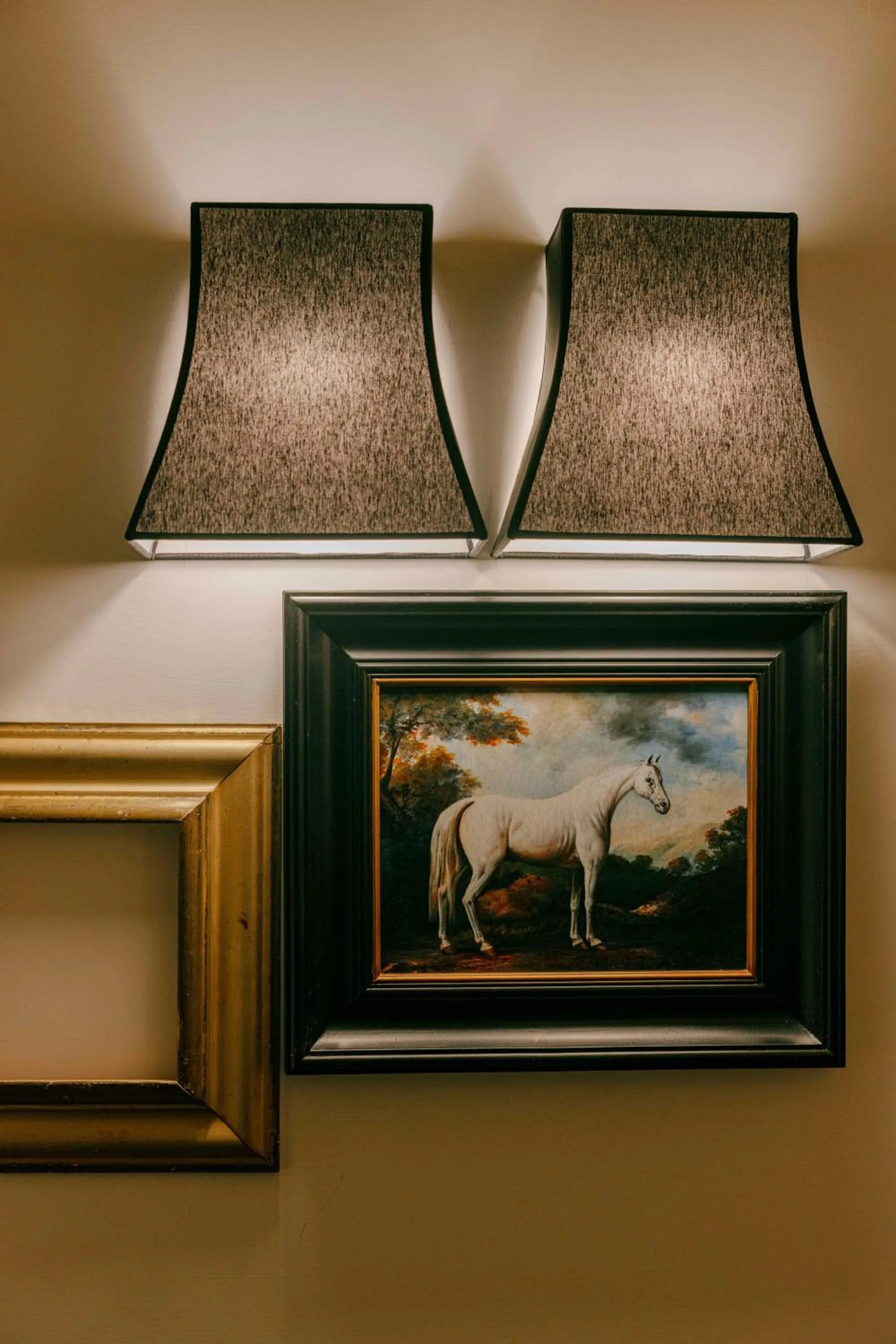 V Collection Condotti