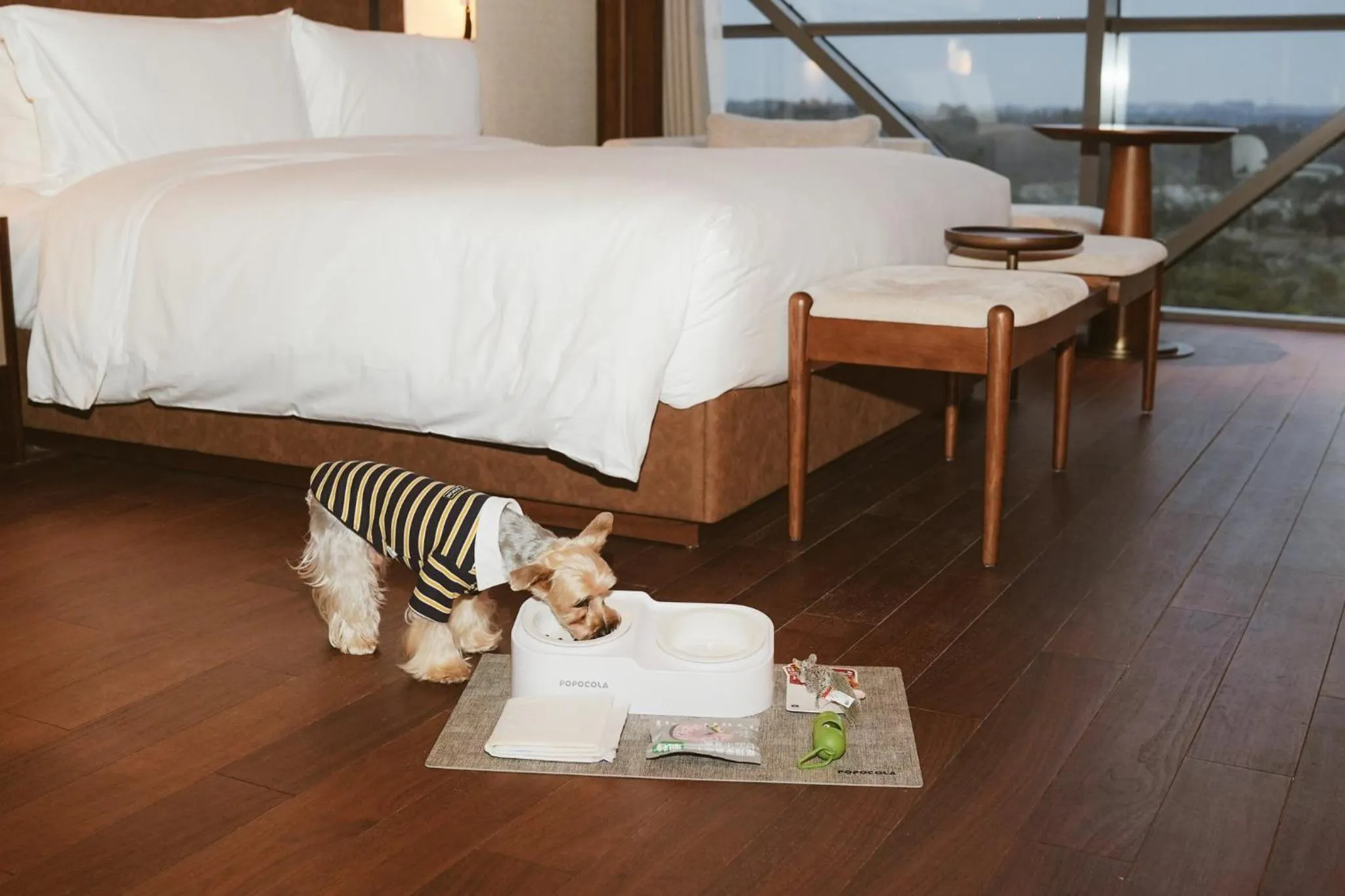 Photo of the whole room, Bed in Vignette Collection Shanghai Snow World Hotel by IHG