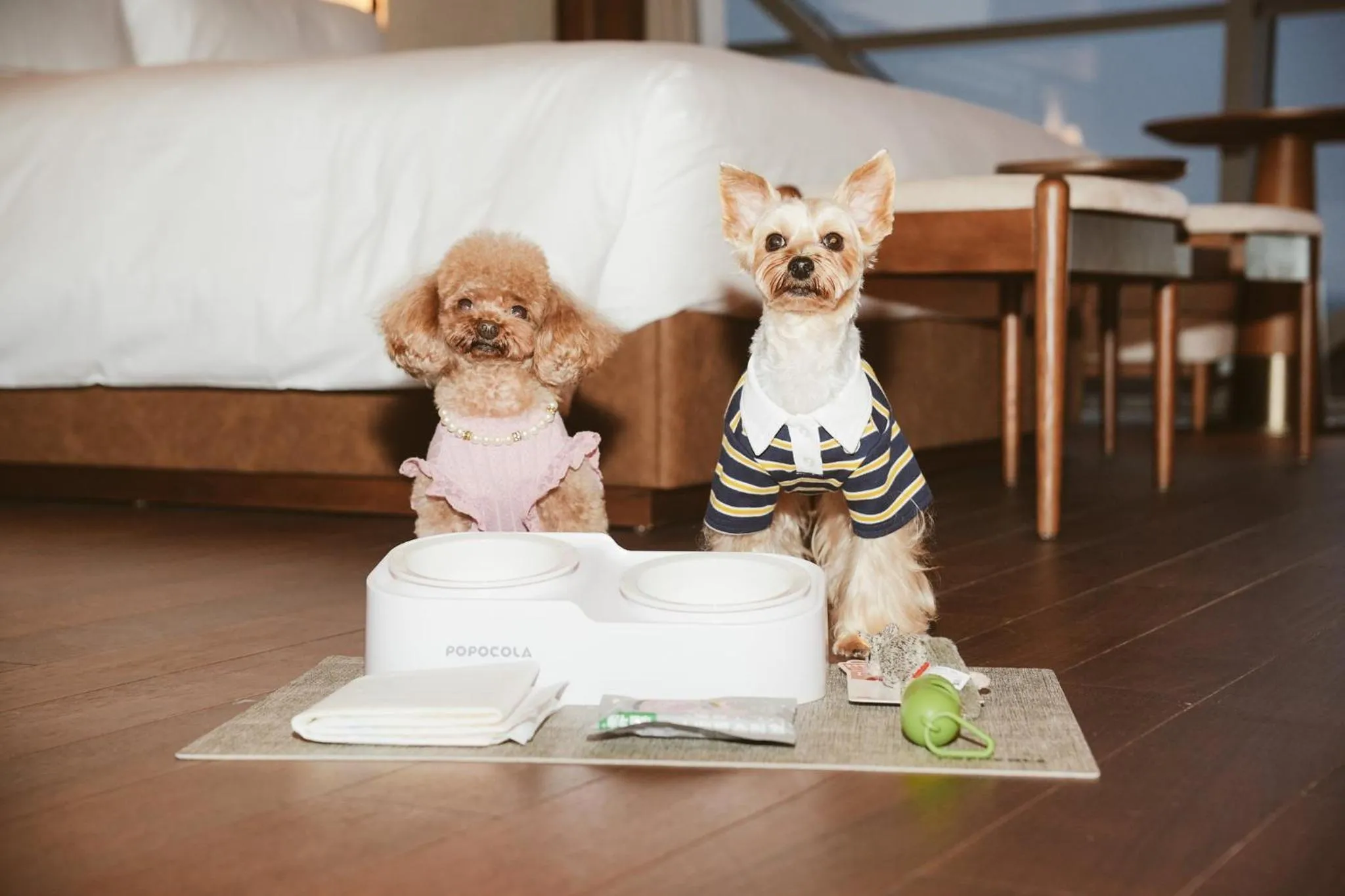 Photo of the whole room in Vignette Collection Shanghai Snow World Hotel by IHG