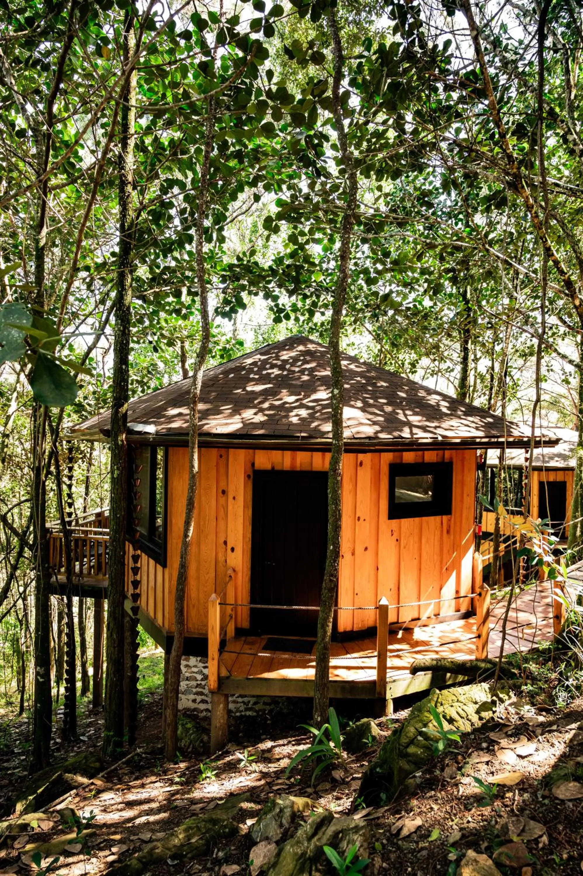 The Grand Forest Jarabacoa