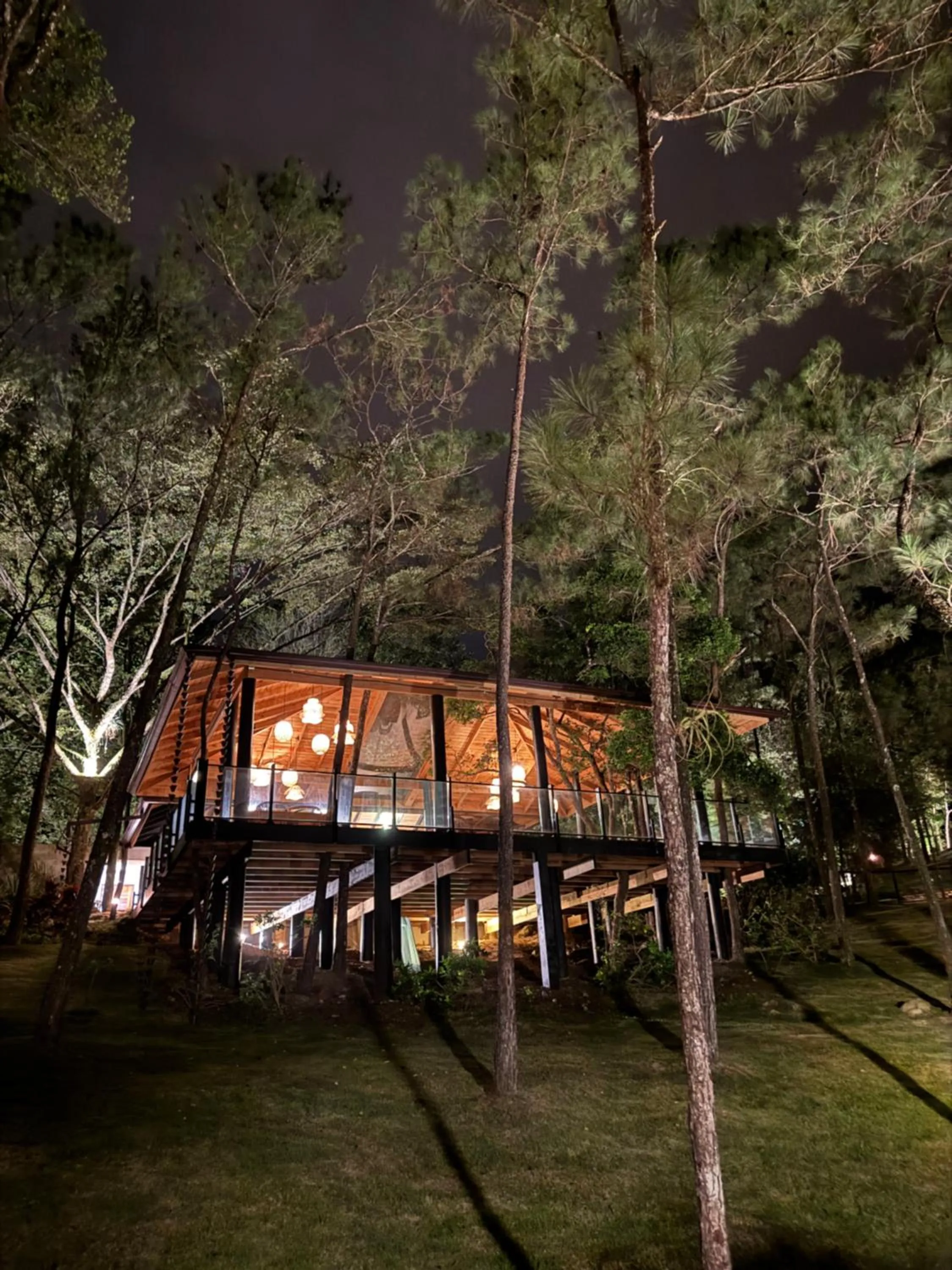 The Grand Forest Jarabacoa