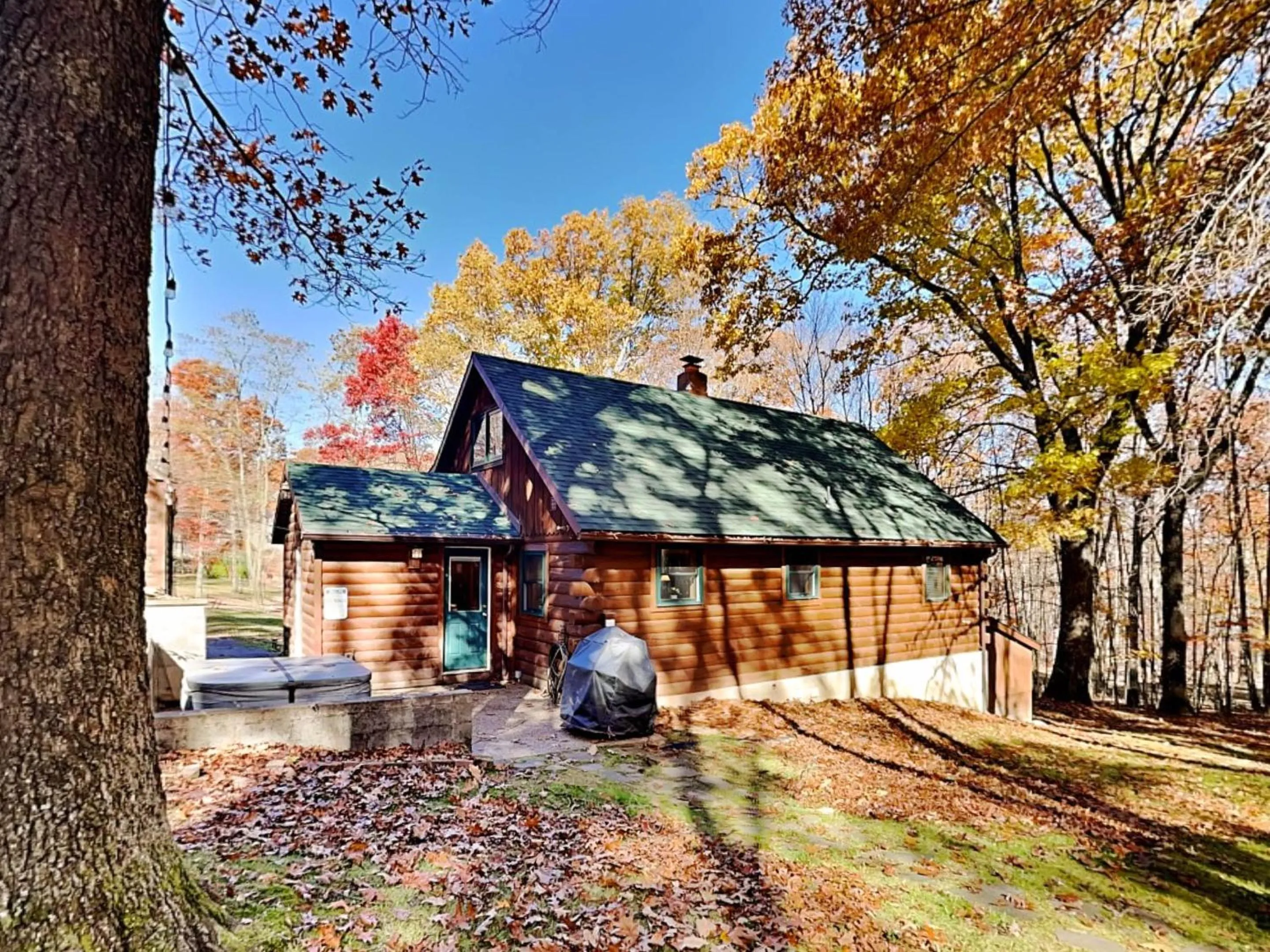 Cozy Cabin