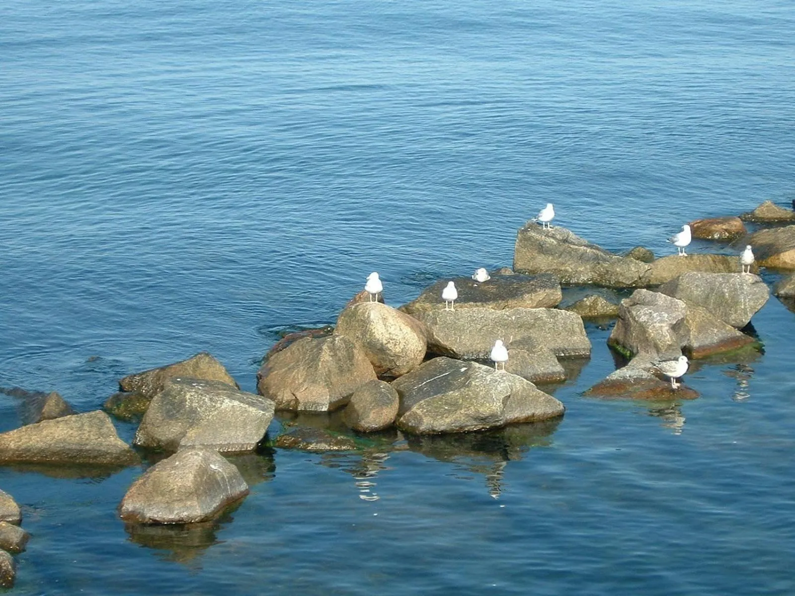 Other in Hotel und Restaurant "Zur Zwiebel"