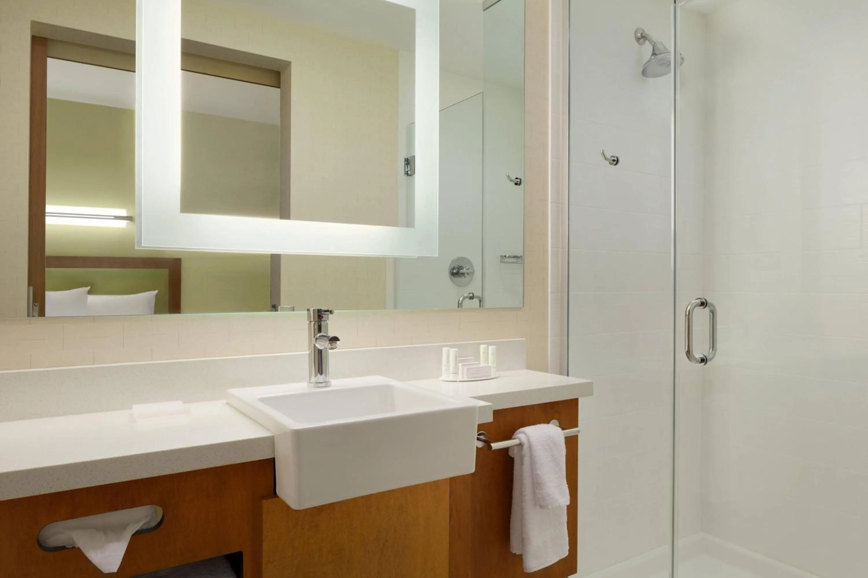 Bathroom in SpringHill Suites by Marriott Tuscaloosa
