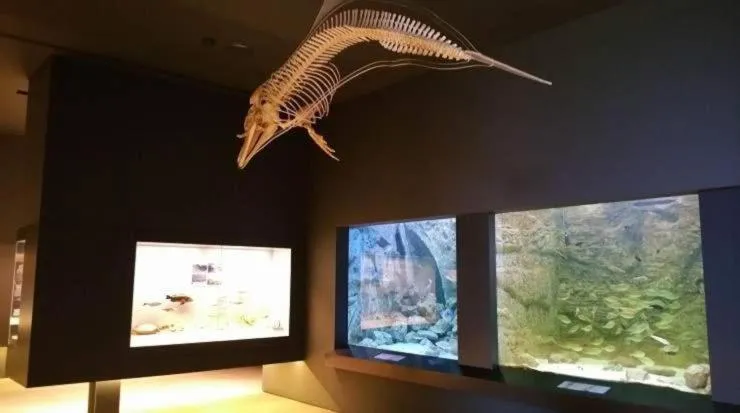 Nearby landmark in Odessa Beach Hotel