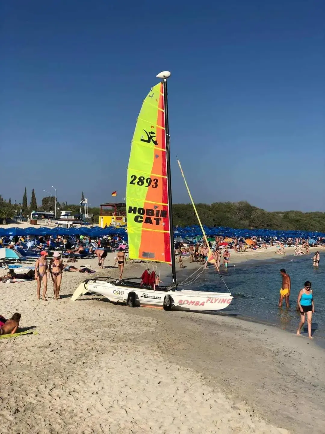 Windsurfing in Tsokkos Paradise Holiday Village