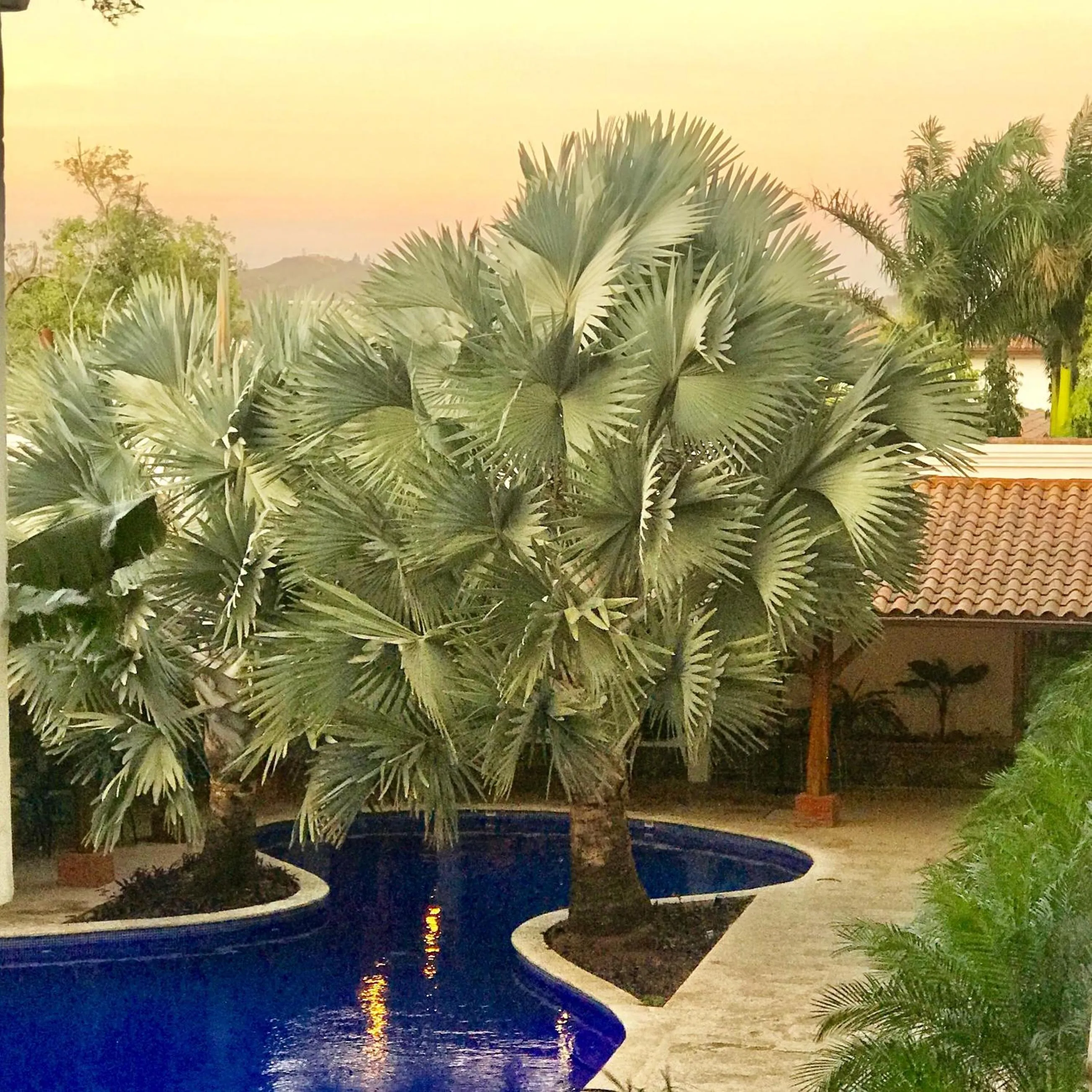 Swimming pool in Hotel Gran David
