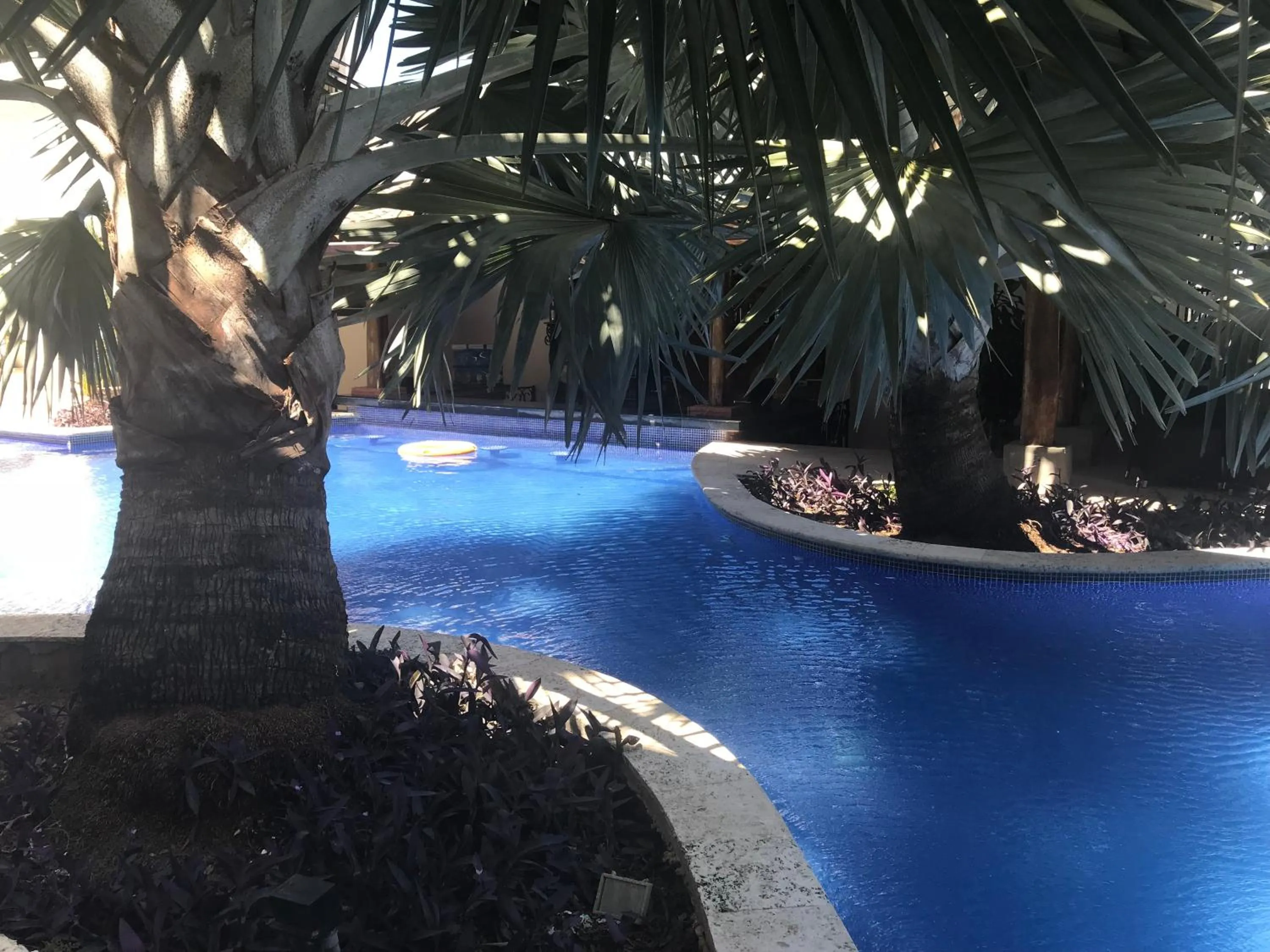 Swimming pool in Hotel Gran David