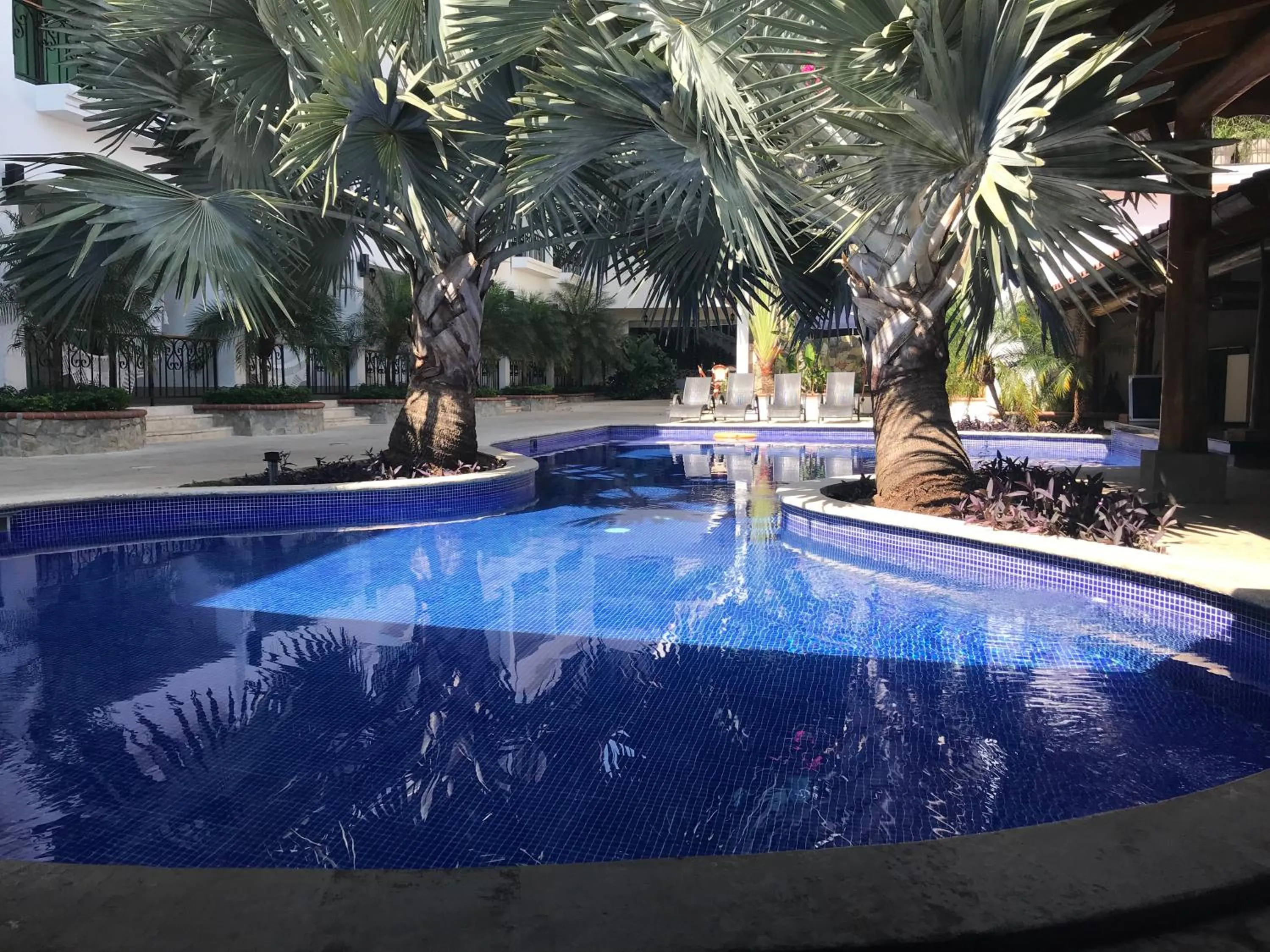 Swimming pool in Hotel Gran David