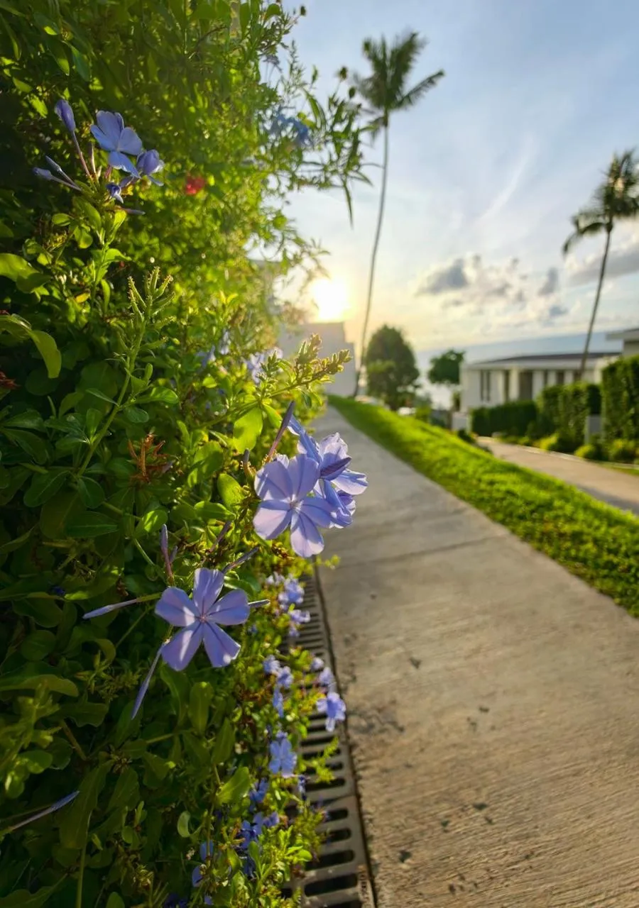 Spring in Anzhu Seamate Villa Samui