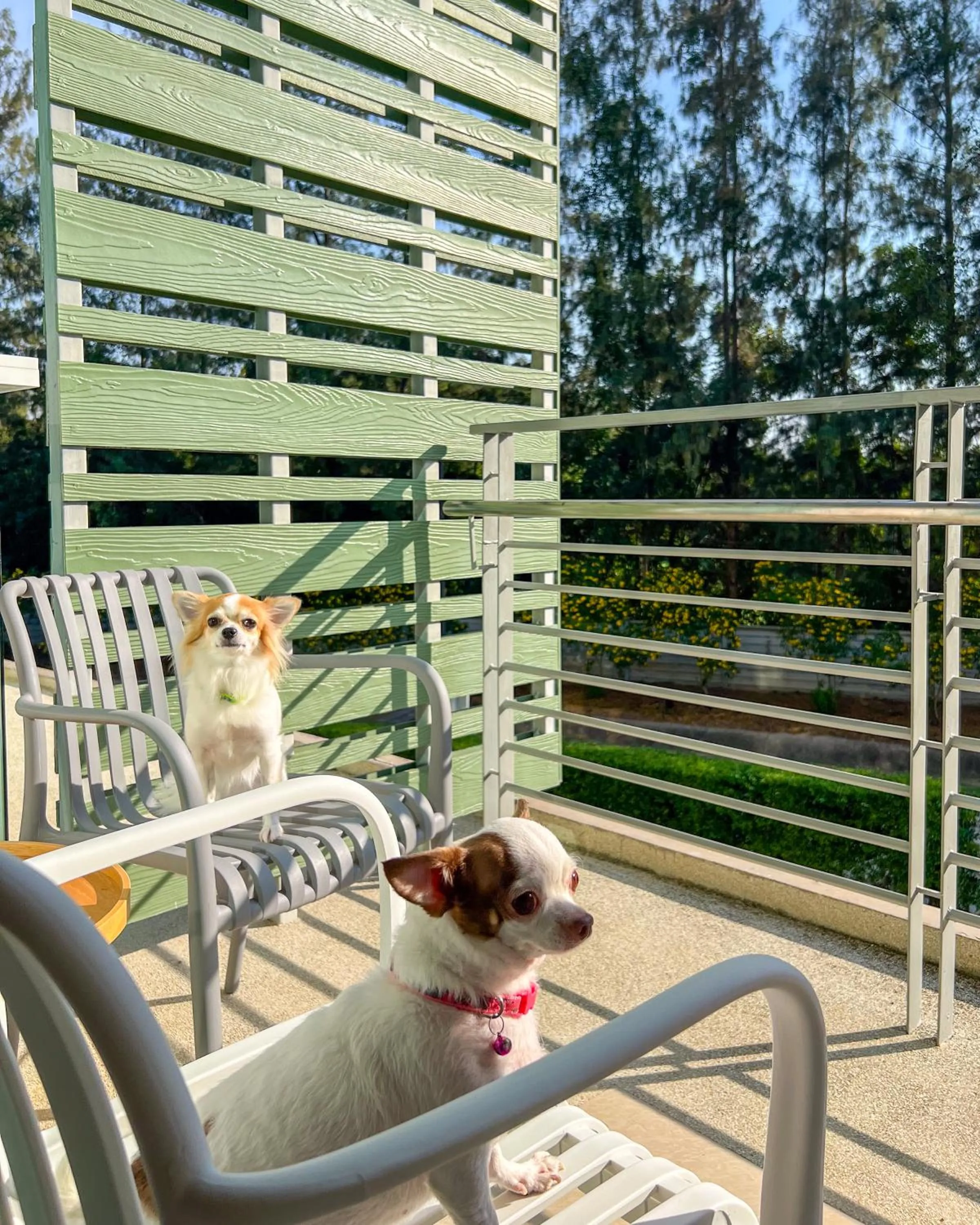 Balcony/Terrace in The Kaset, Hua Hin