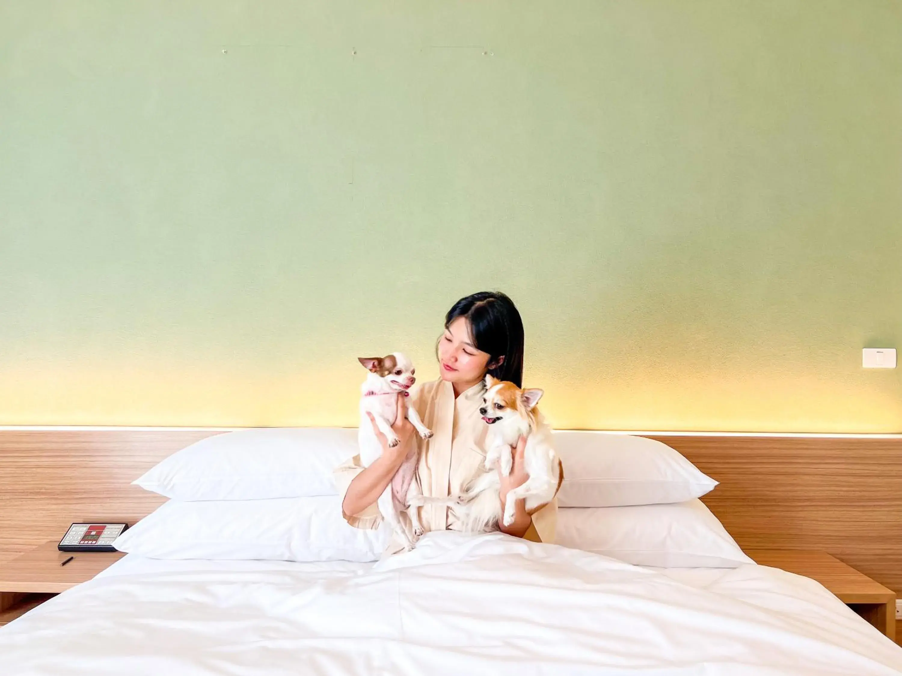 Bed in The Kaset, Hua Hin Bed in The Kaset, Hua Hin