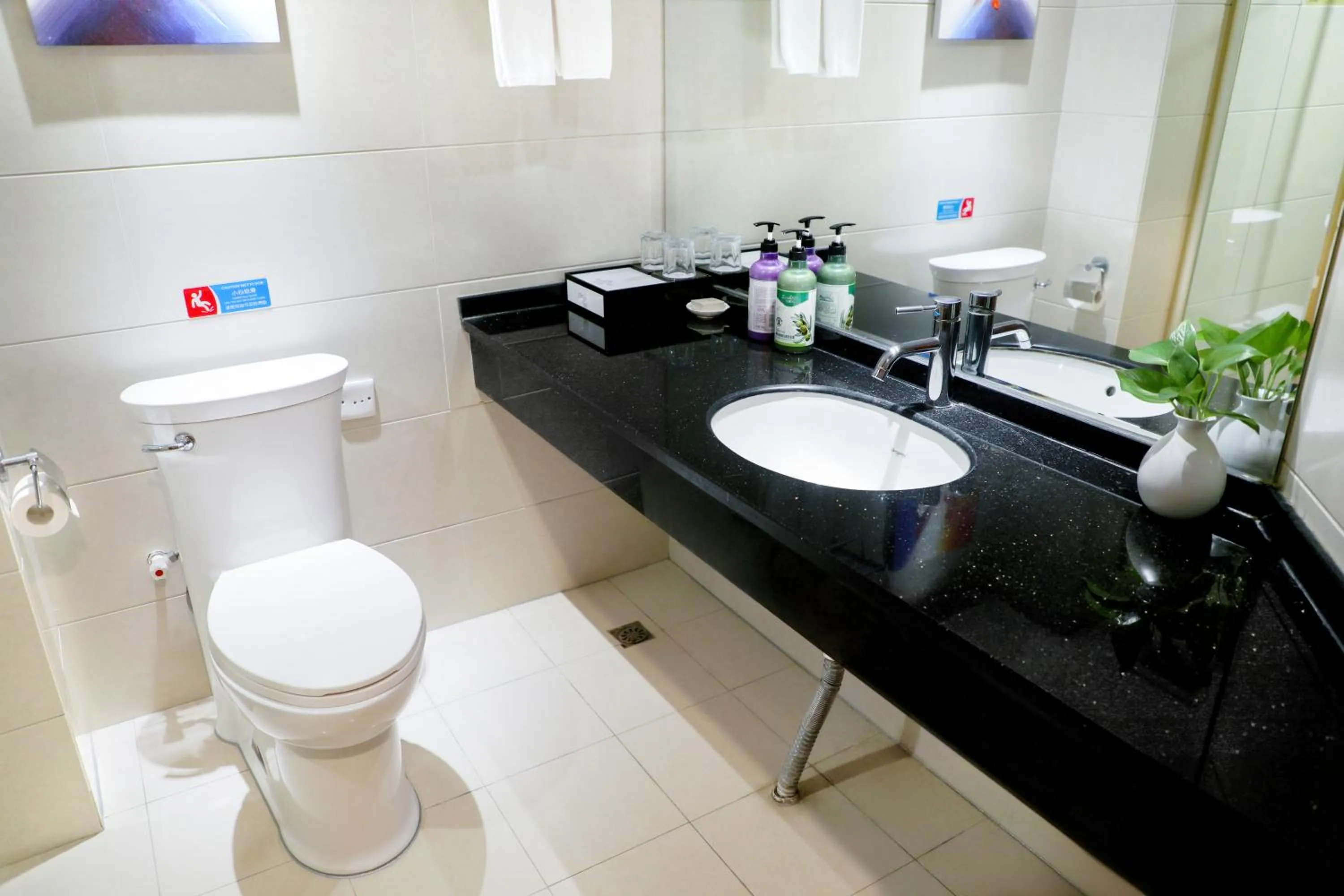 Toilet in Holiday Villa