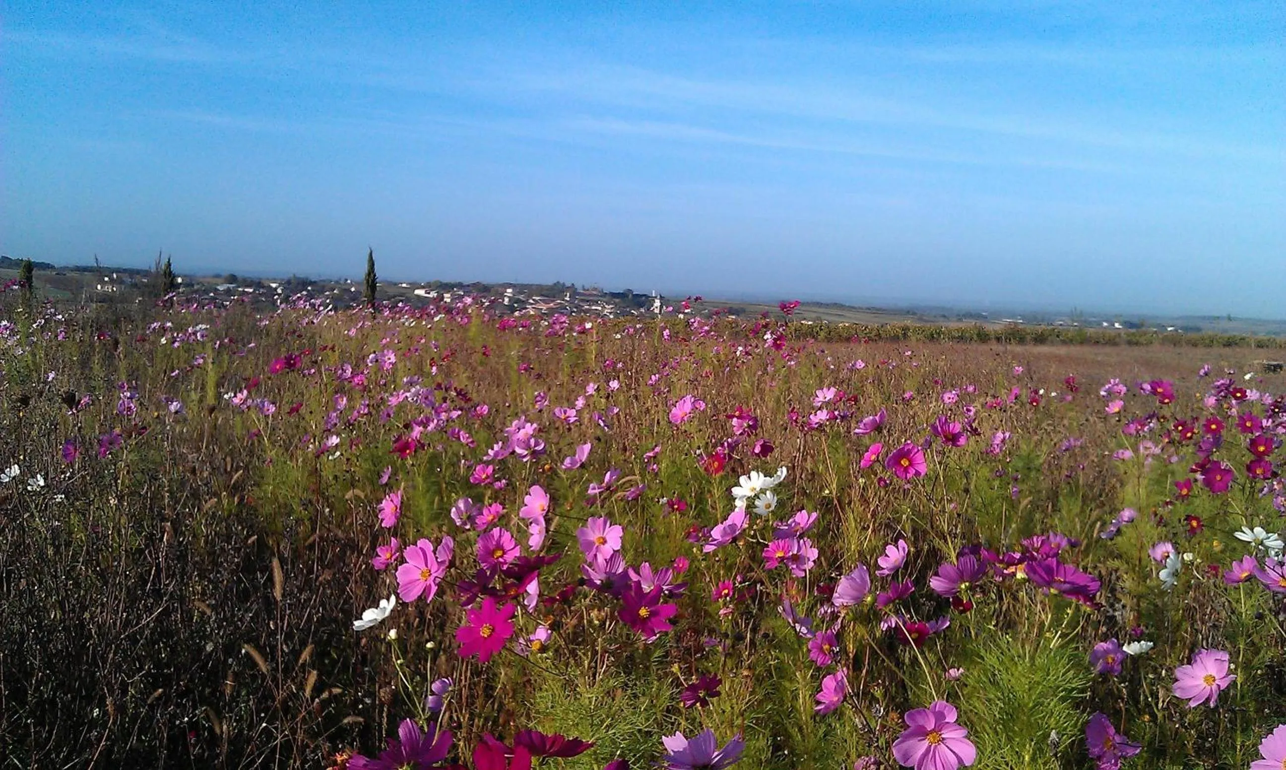 Garden view in Le Dojo du Plessis