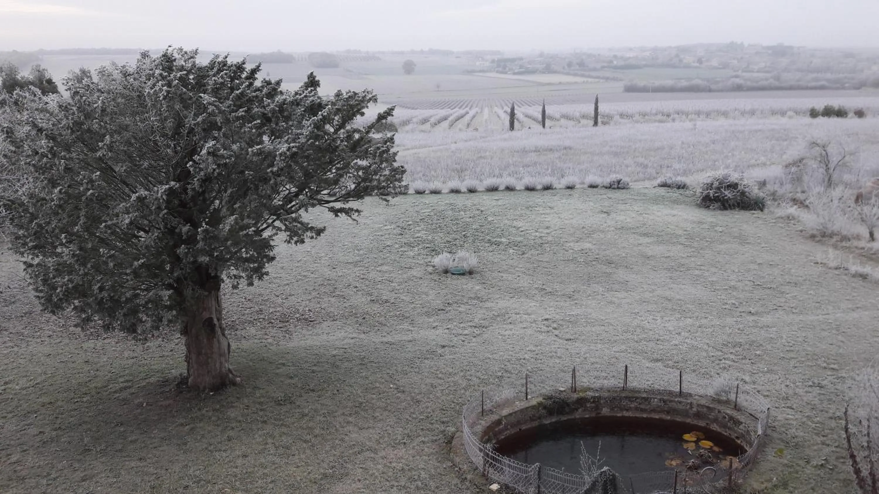 Garden view in Le Dojo du Plessis
