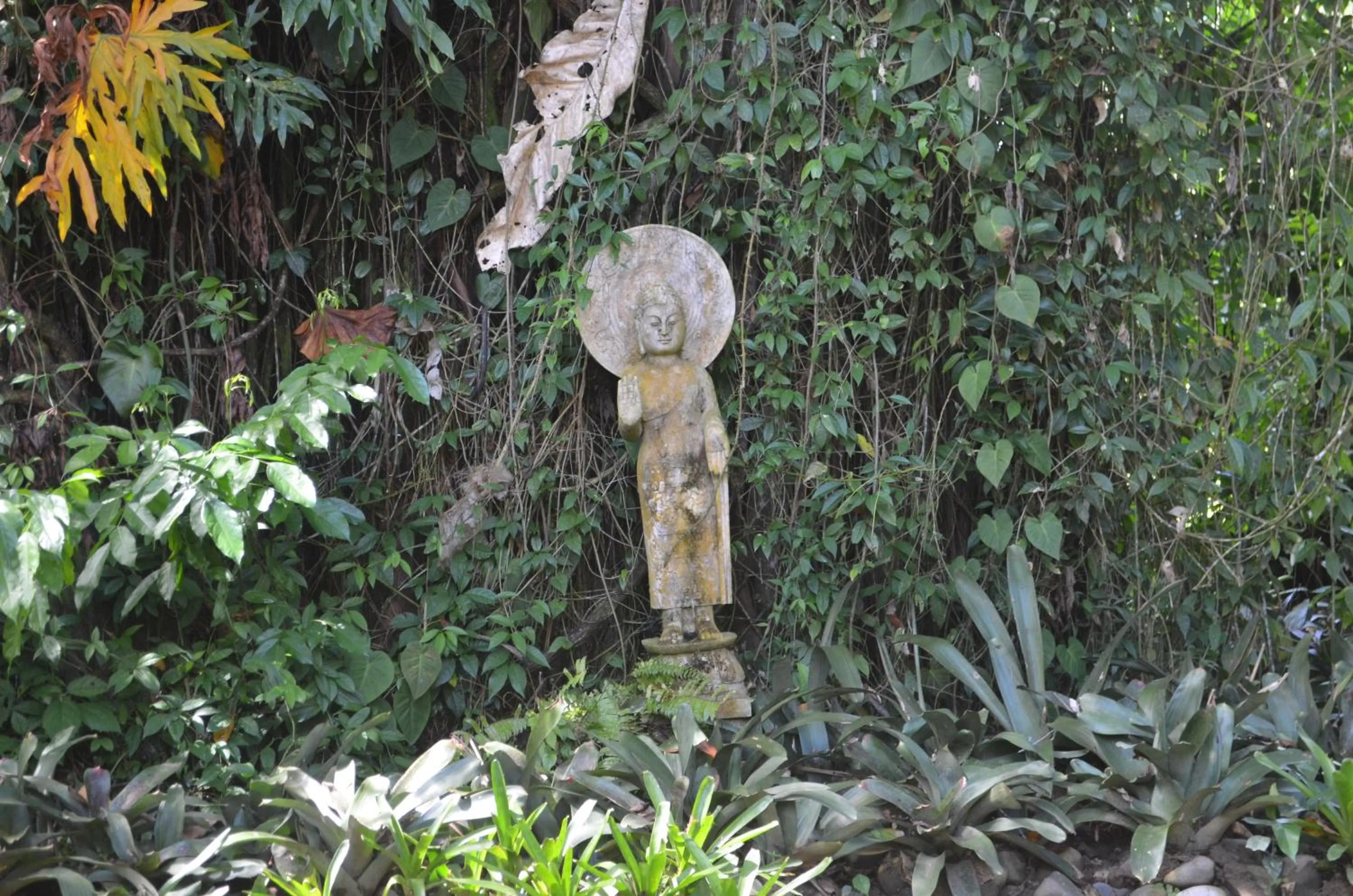 Garden in Lanna Ban Hotel