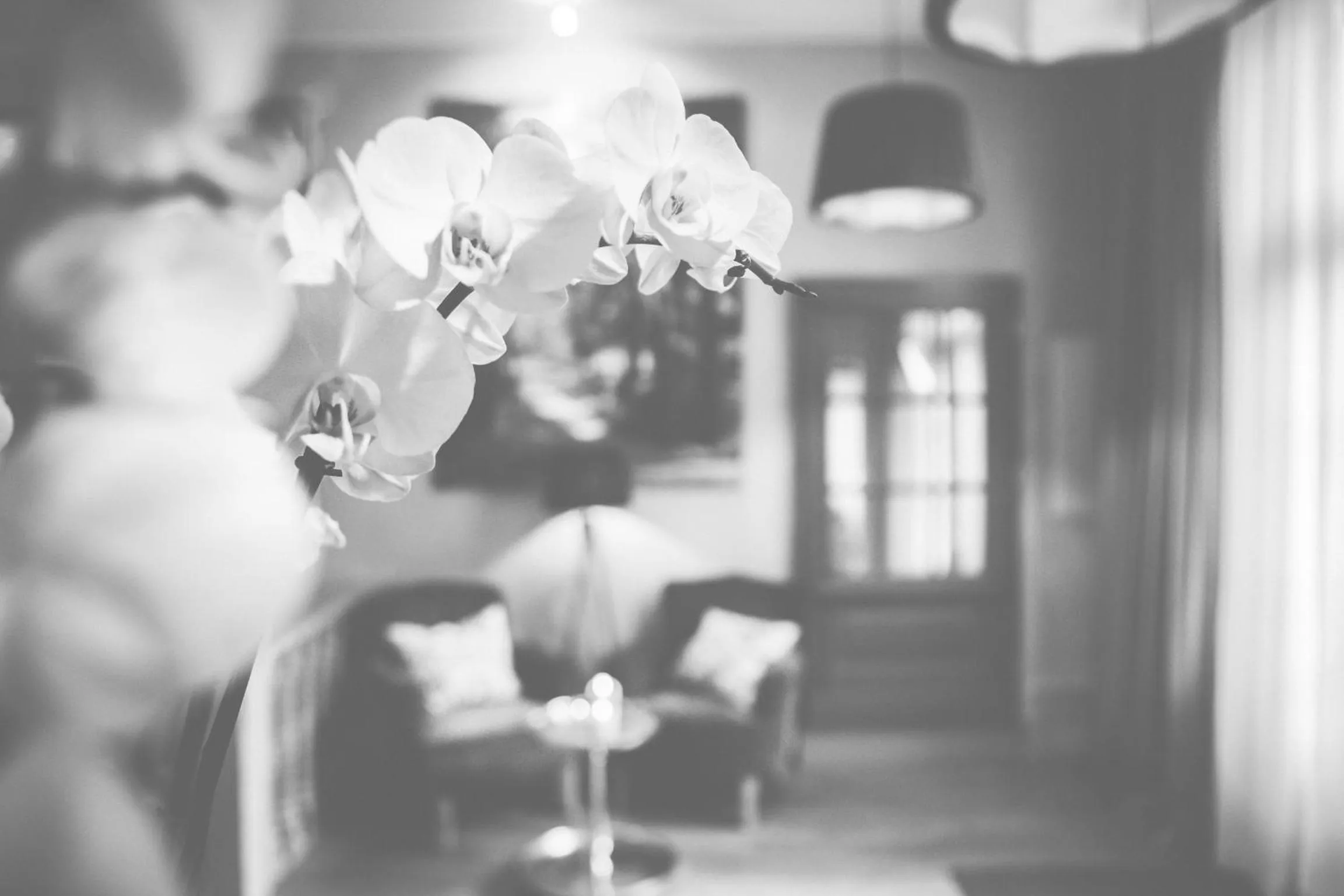 View (from property/room) in Hotel Bellini