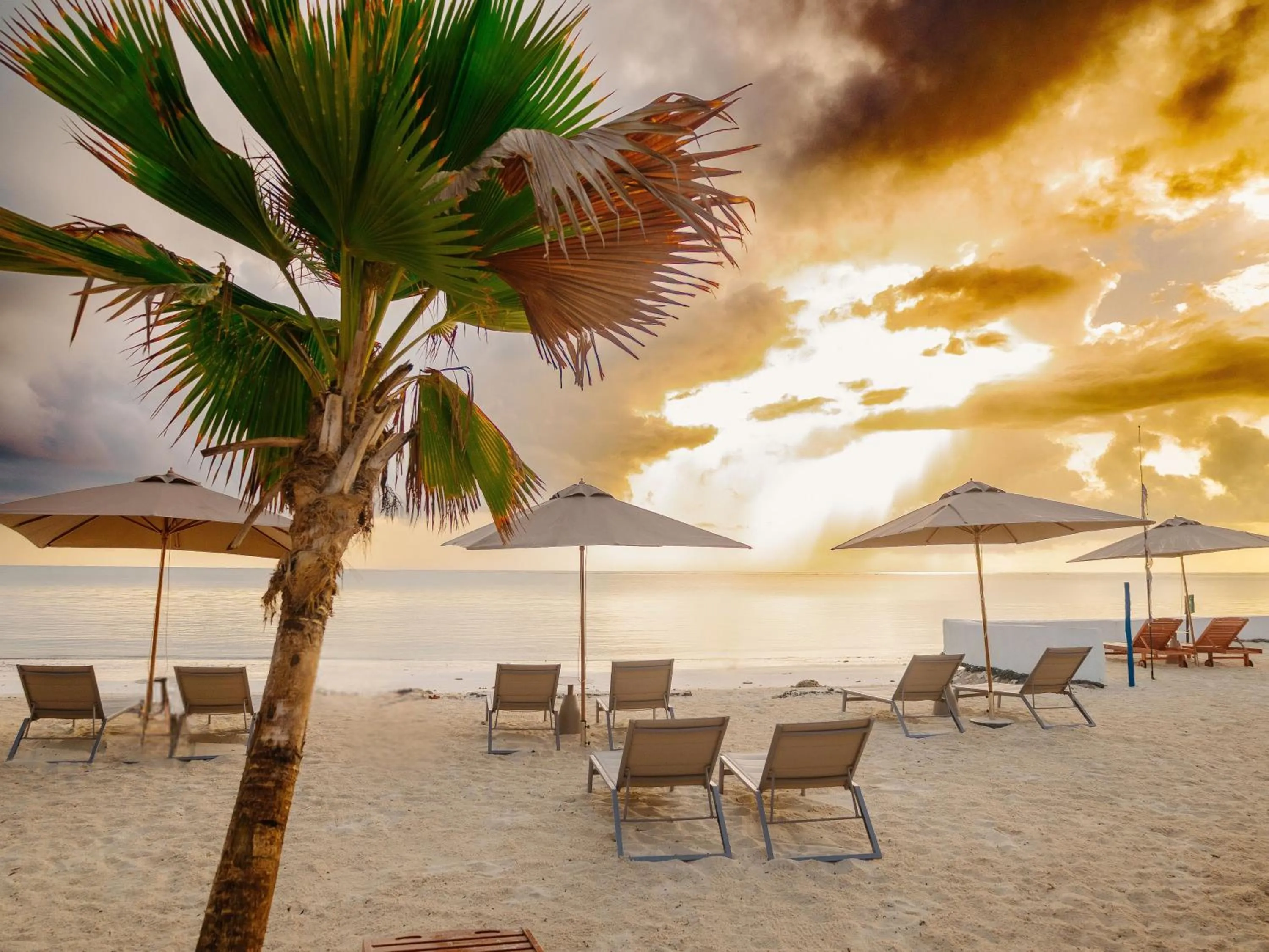 Natural landscape in Royal Mandarin Hotel & Resort Zanzibar