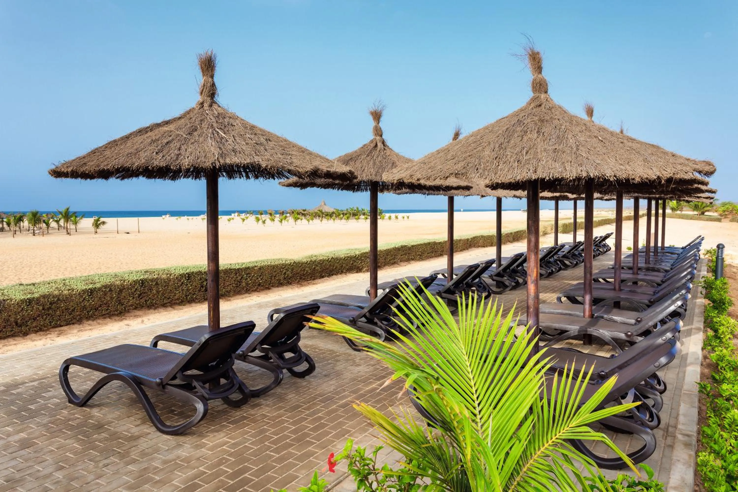 Beach in Hotel Riu Touareg - All Inclusive