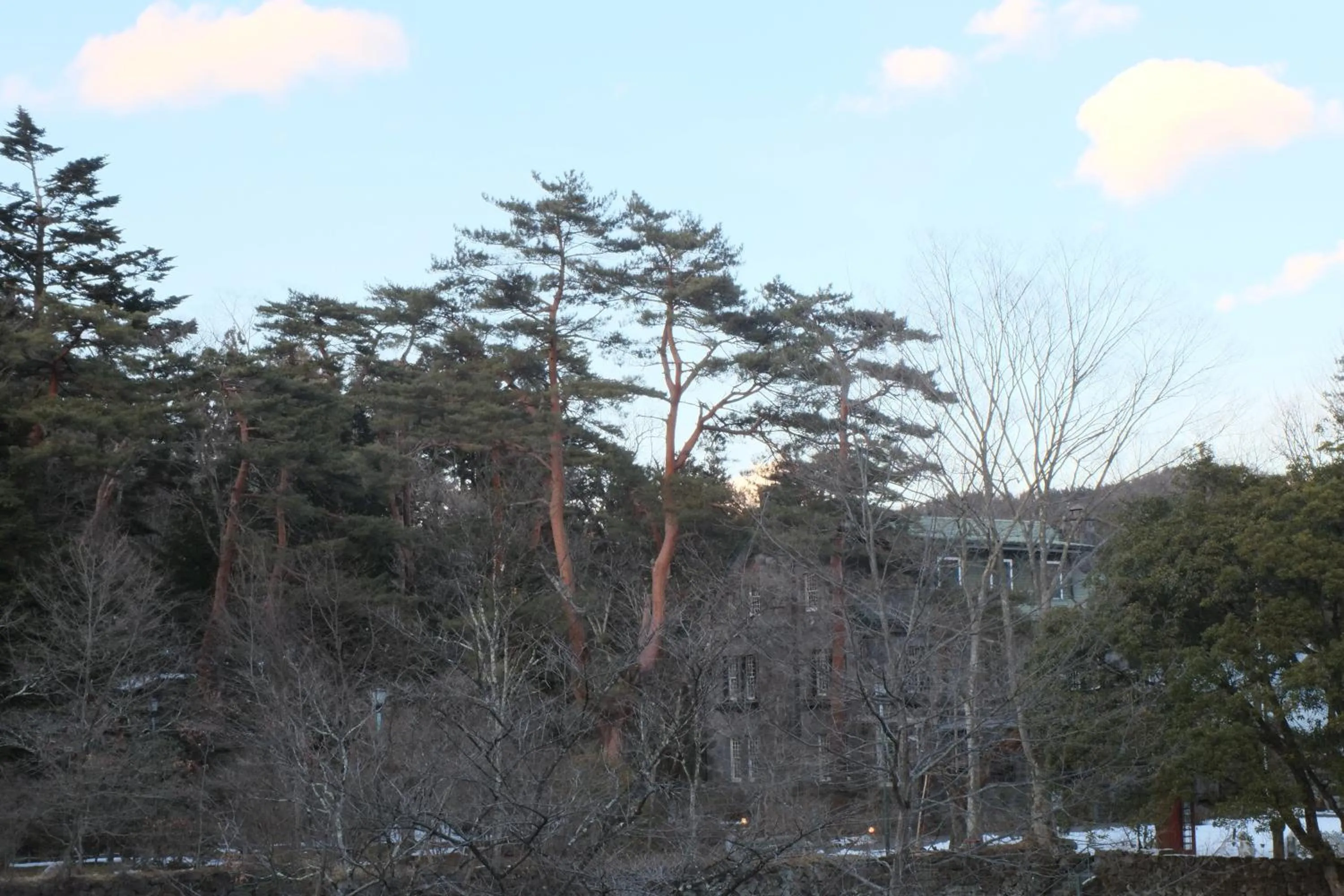 View (from property/room) in Hotel Seikoen