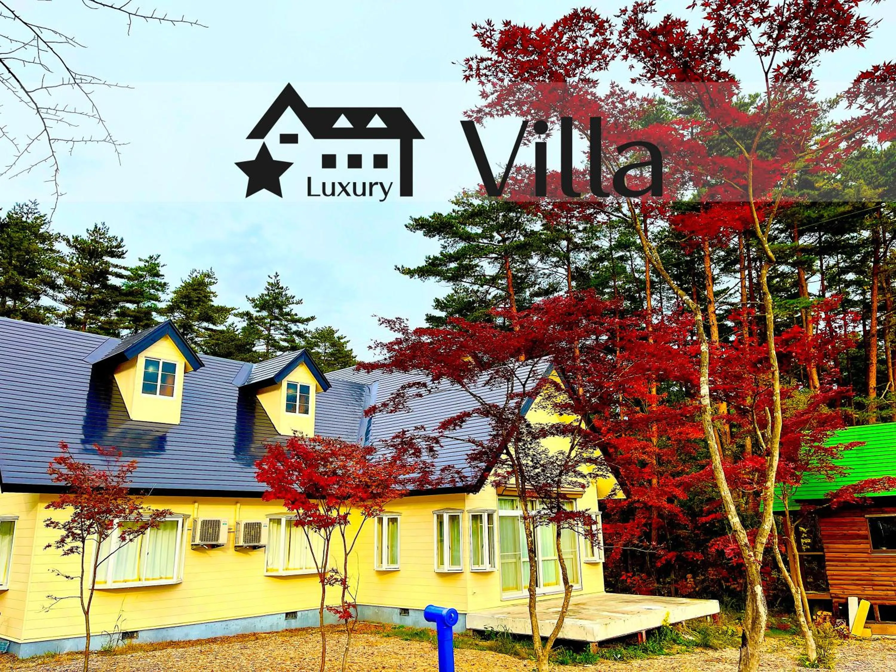 Property building in Meteor Garden