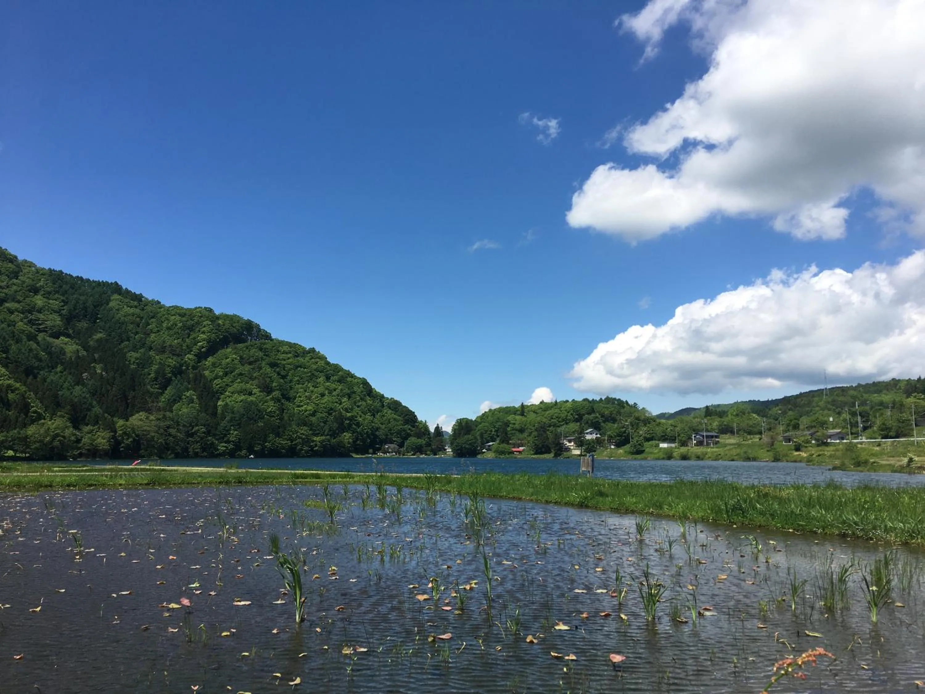 Natural landscape in Meteor Garden