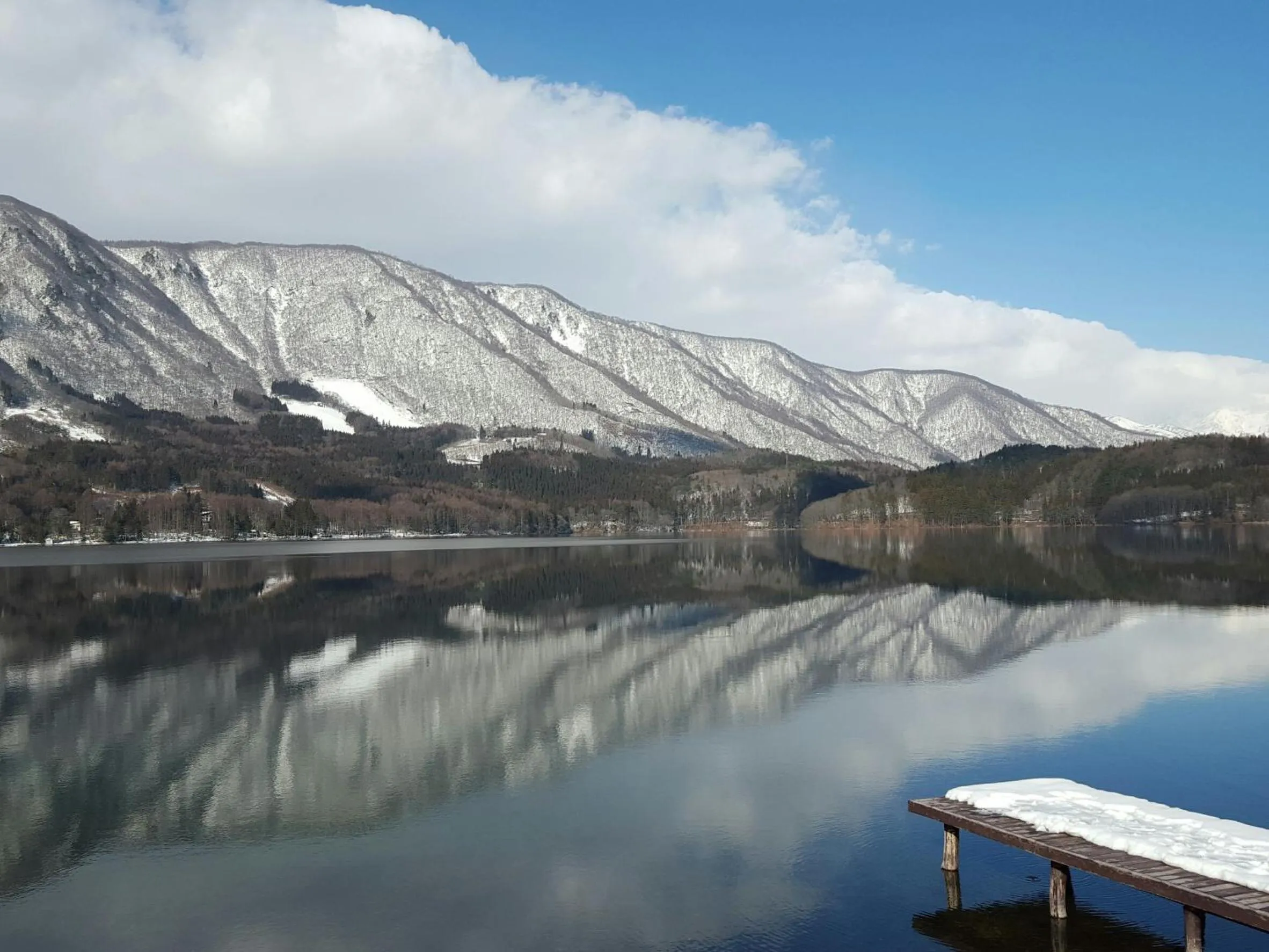 Day in Meteor Garden