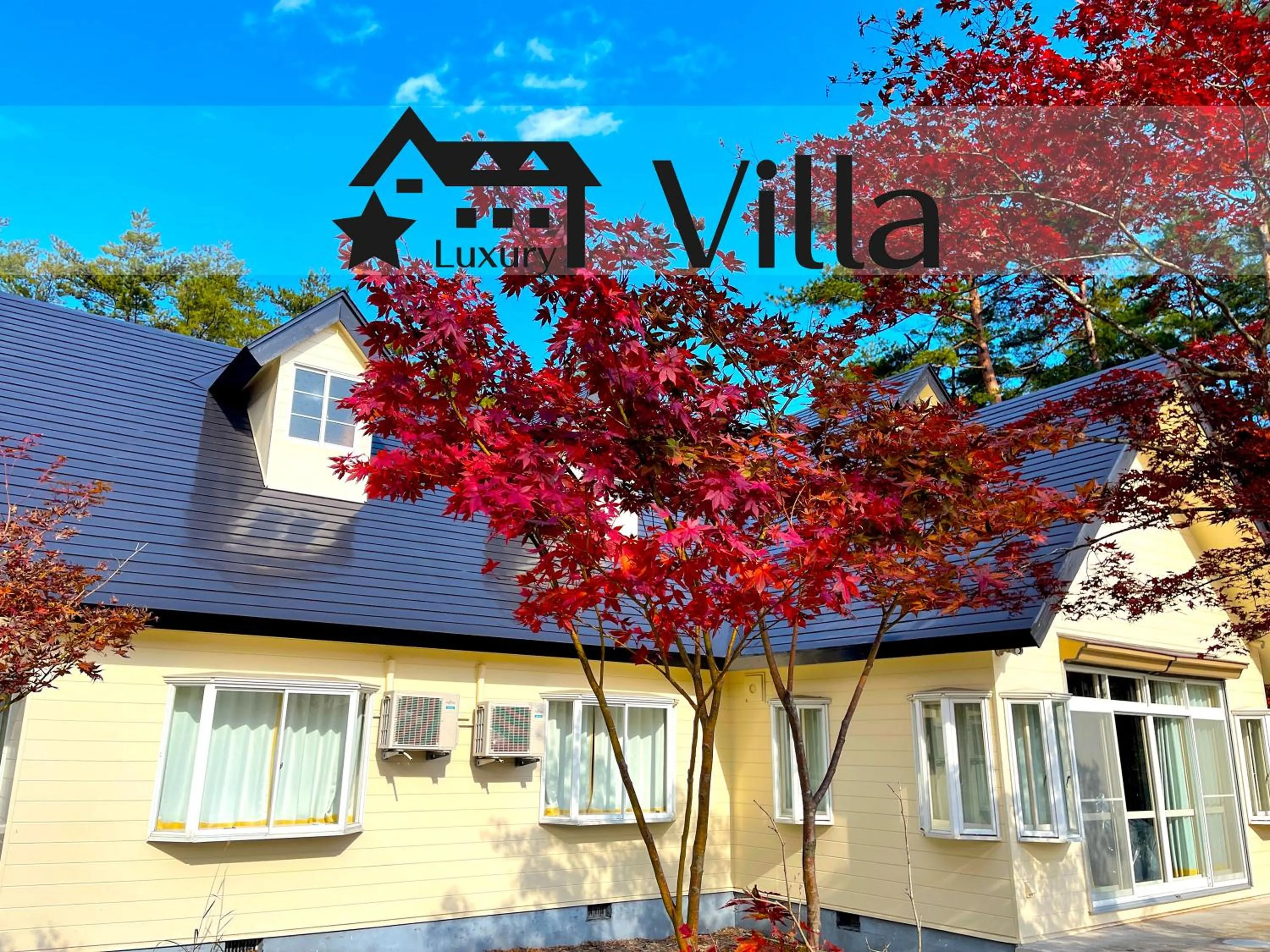 Property building in Meteor Garden