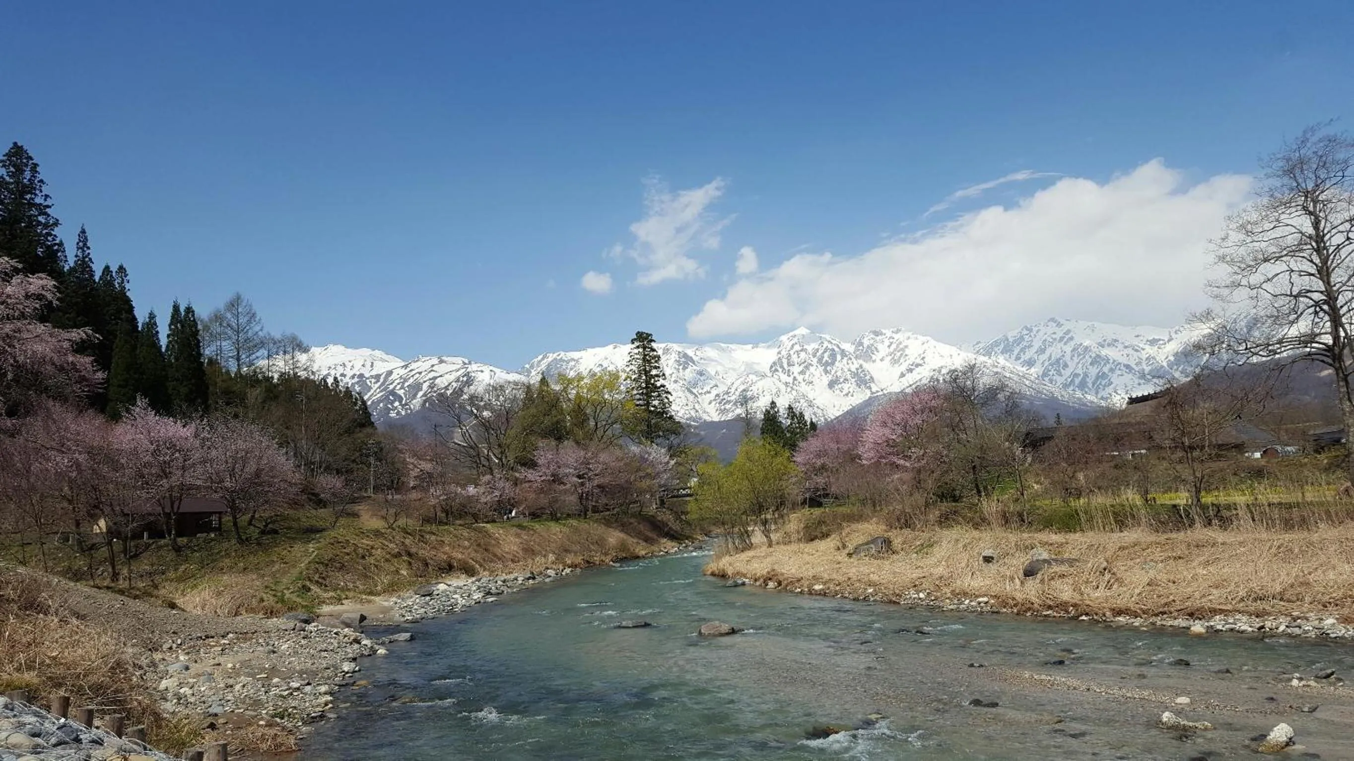 Day in Meteor Garden