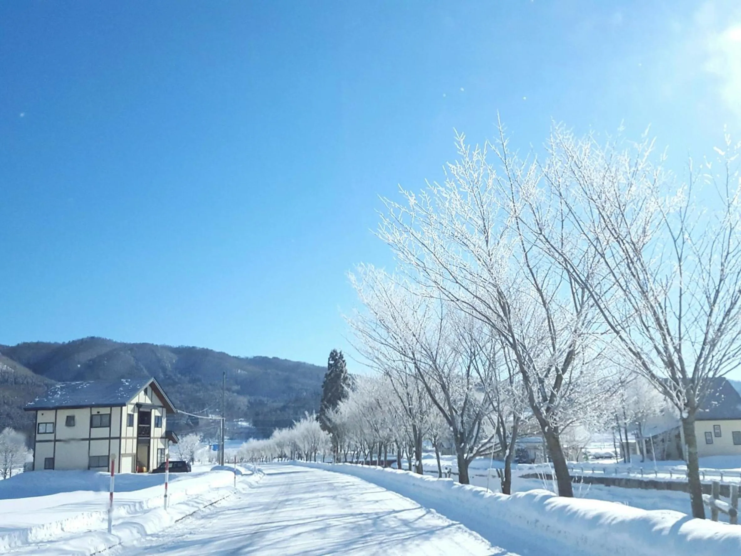 Day in Meteor Garden