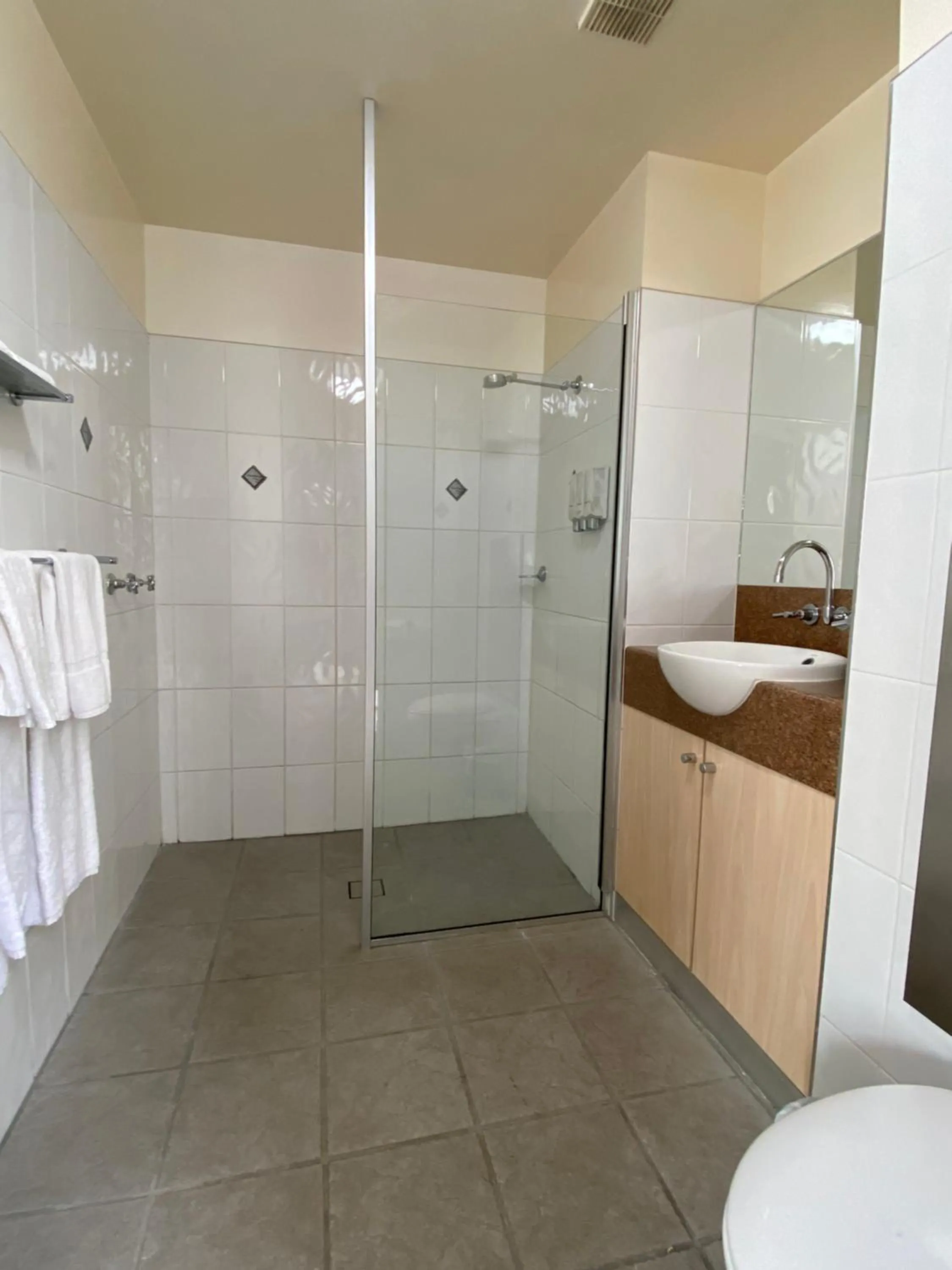 Shower in Country Roads Motor Inn Dysart