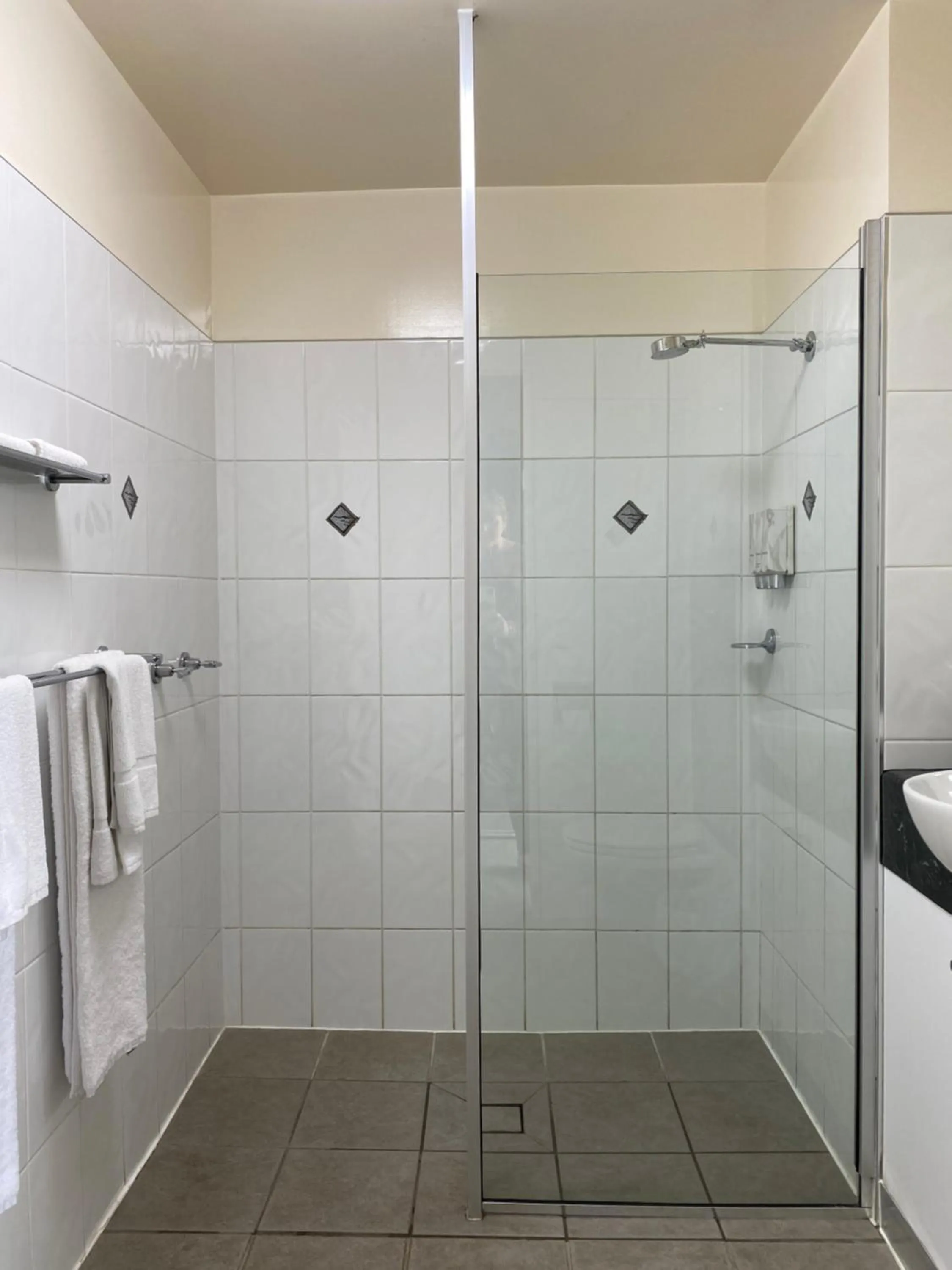 Shower in Country Roads Motor Inn Dysart