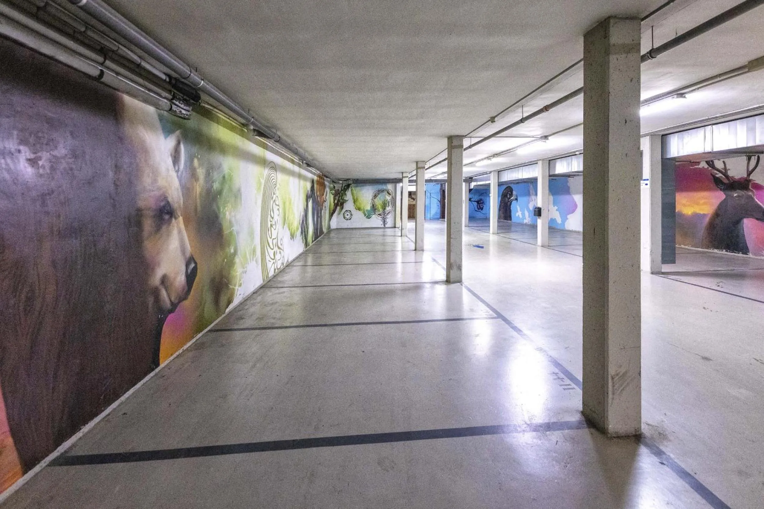 Parking in Globales Castillo de Ayud