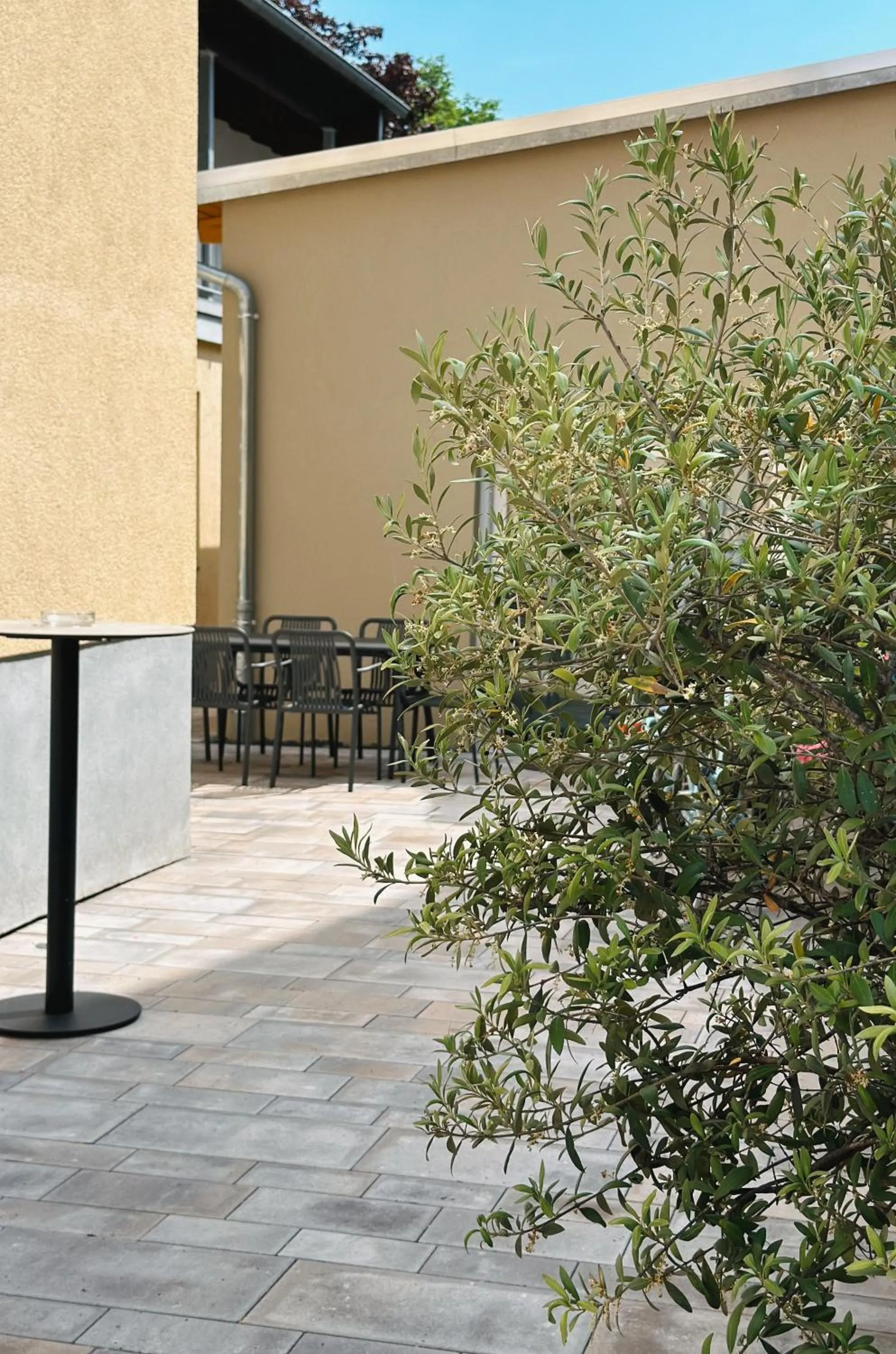 Property building in Hotel Traube Rheinhessen