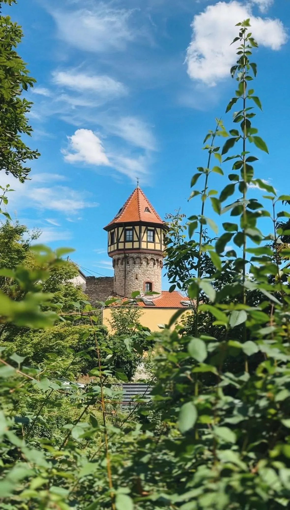 Nearby landmark in Hotel Traube Rheinhessen