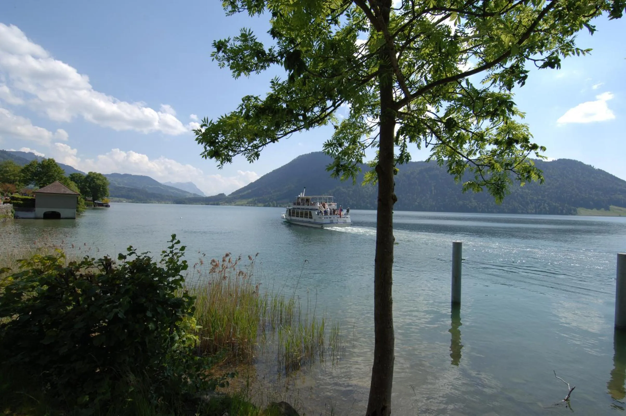 View (from property/room) in Hotel Ländli
