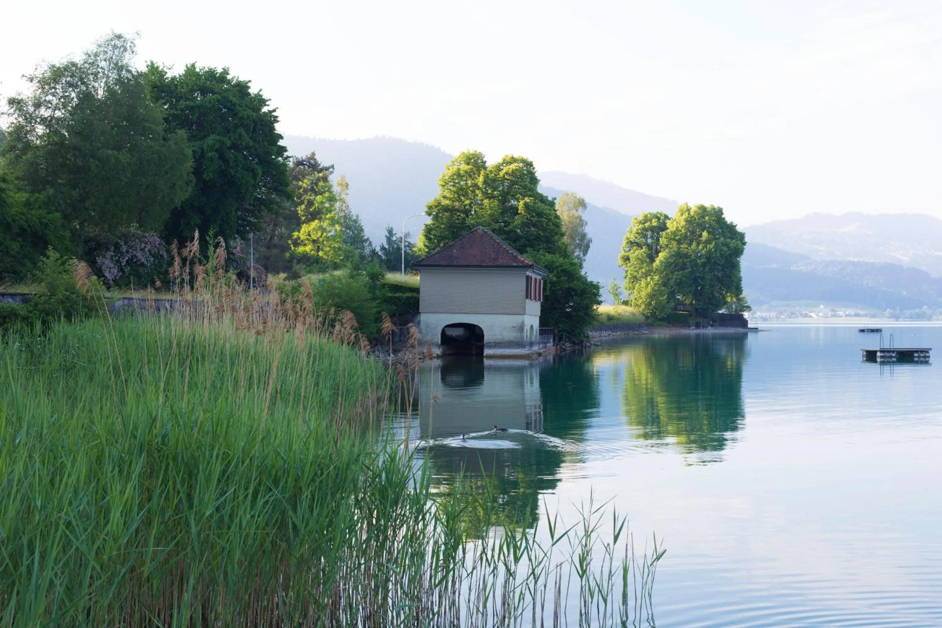 Natural landscape in Hotel Ländli