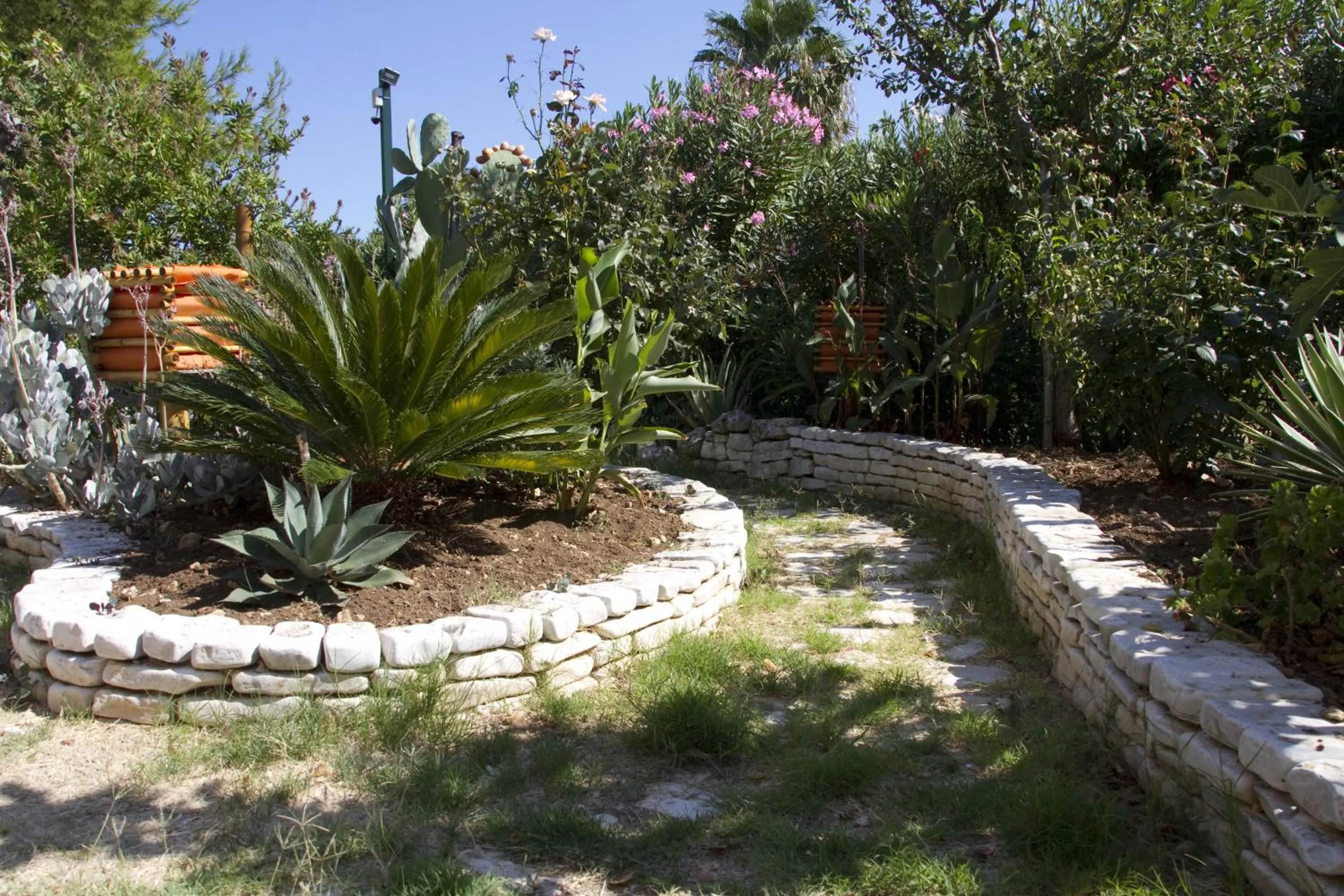 Garden in Oasi Beach Hotel