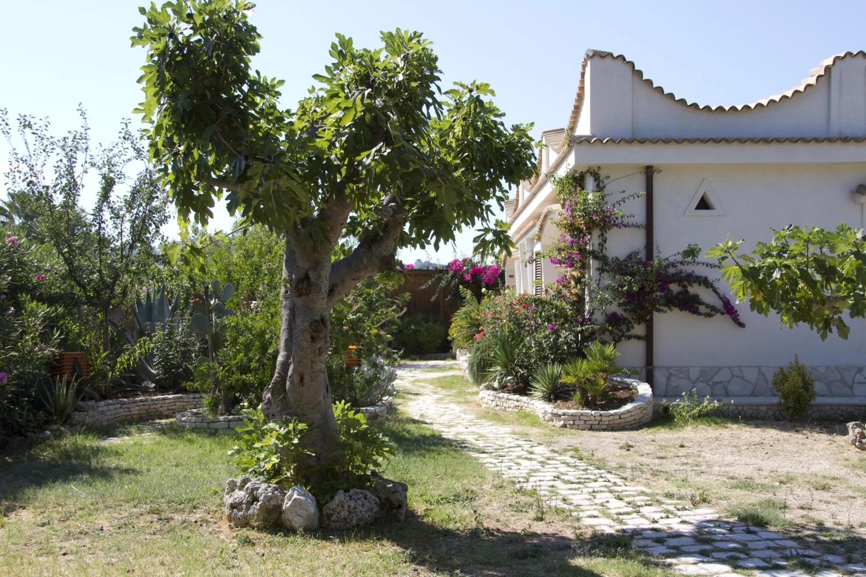 Facade/entrance in Oasi Beach Hotel