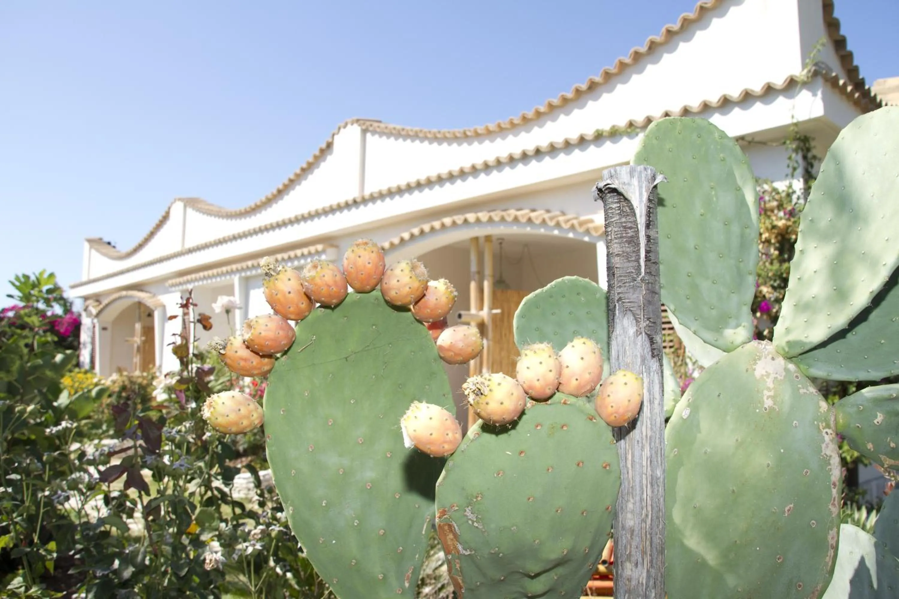 Facade/entrance in Oasi Beach Hotel
