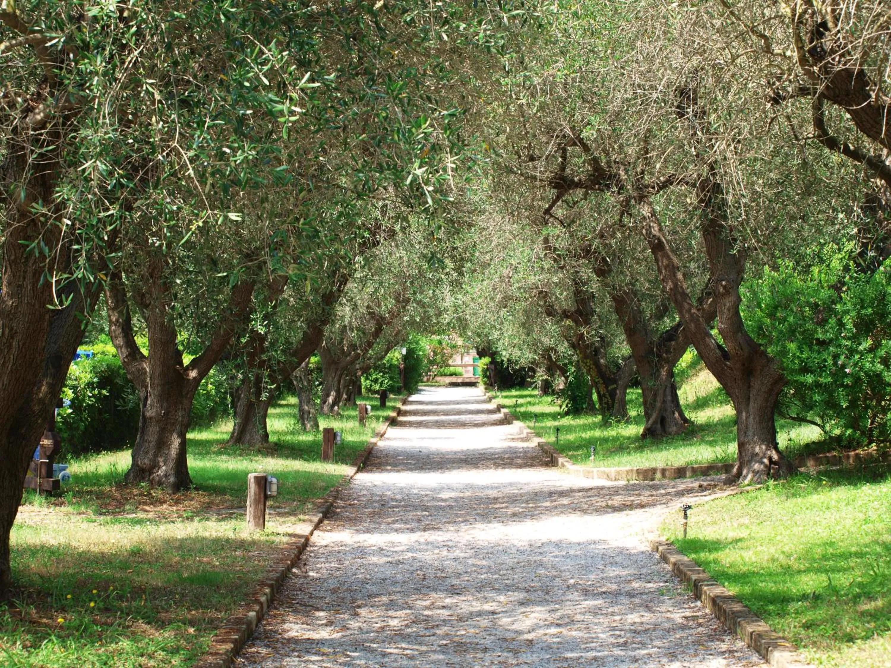 Area and facilities in Hotel & Resort Sant'Anna Del Volterraio