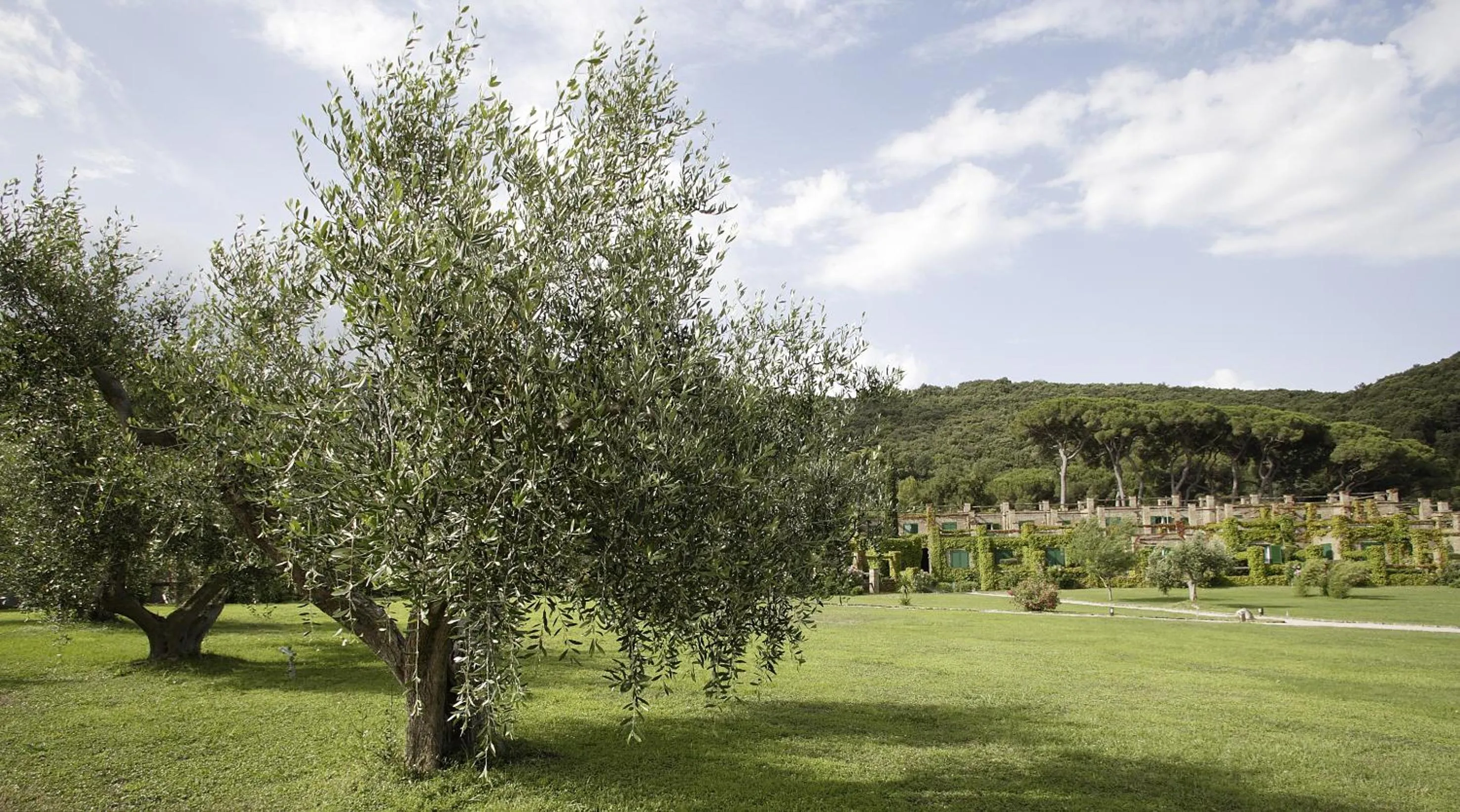 Garden in Hotel & Resort Sant'Anna Del Volterraio