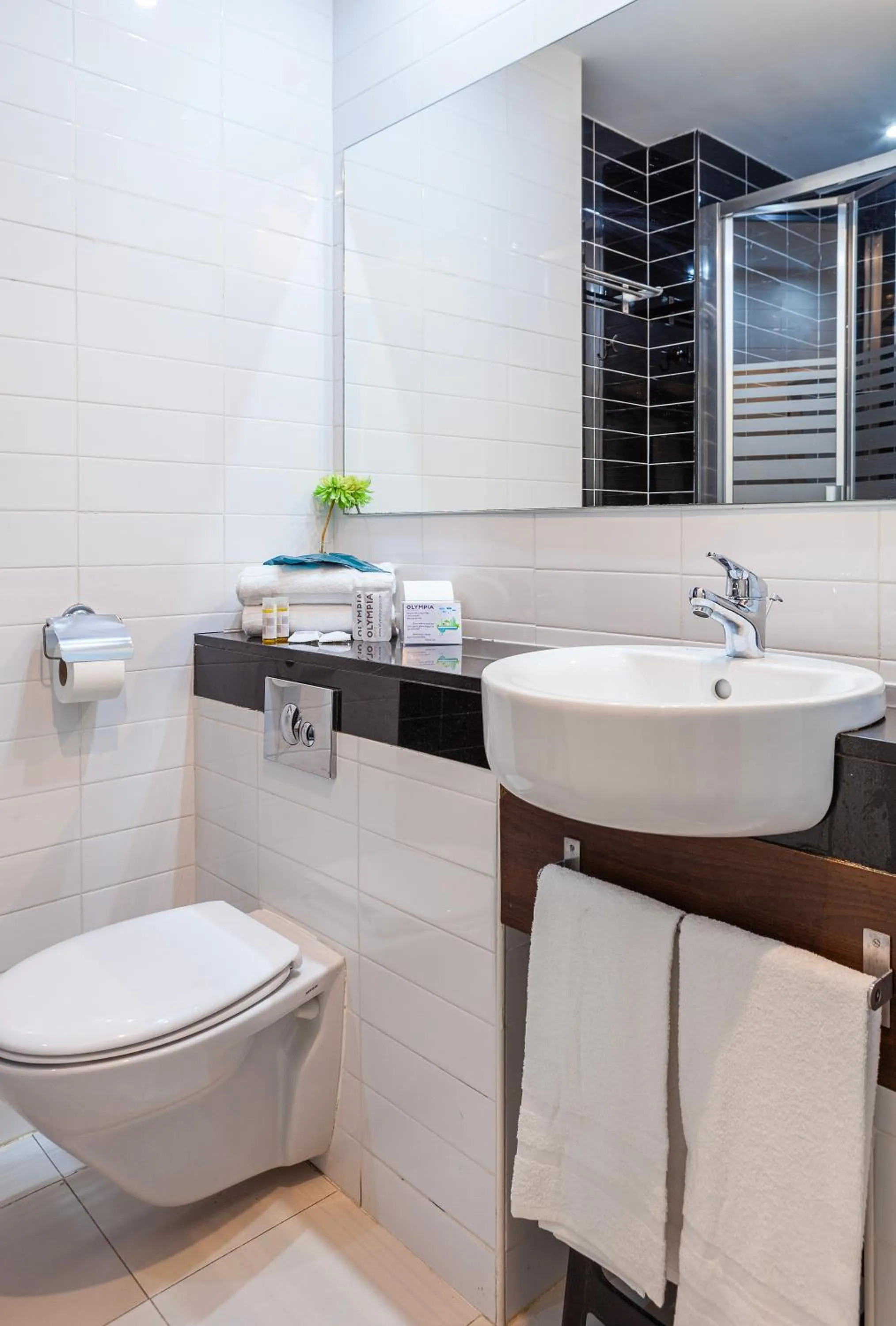 Bathroom in Hotel Olympia Universidades